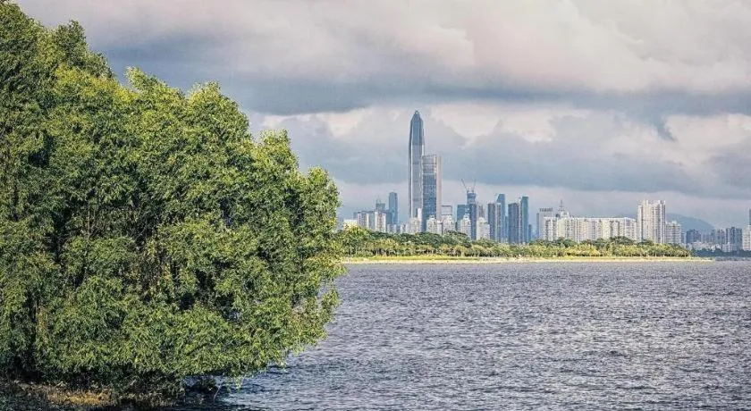 OCT Bay Breeze Hotel