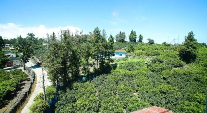 Port Avenue Hotel N Resort