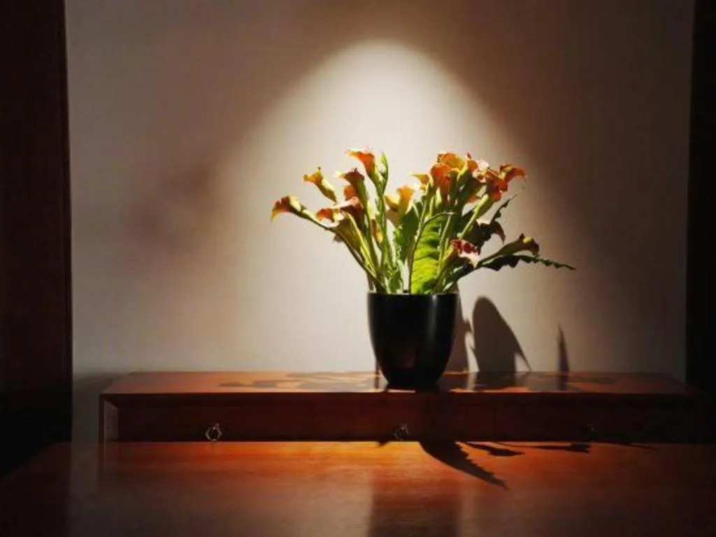 Jiyuan Oriental Jianguo Hotel