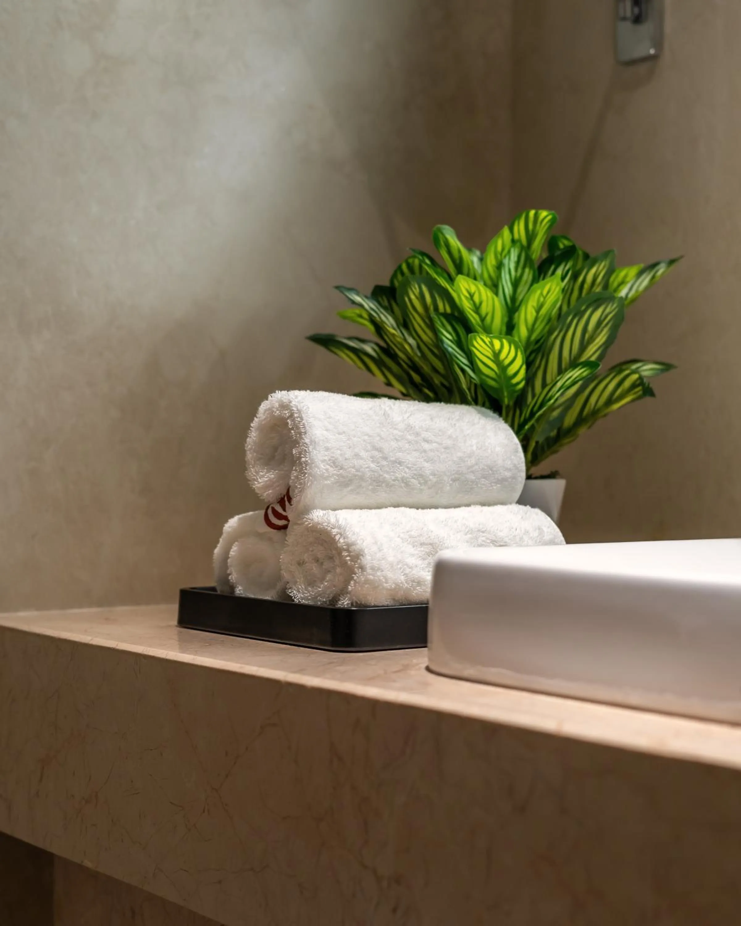 towels in Copper Leaf Hotels, Tirunelveli