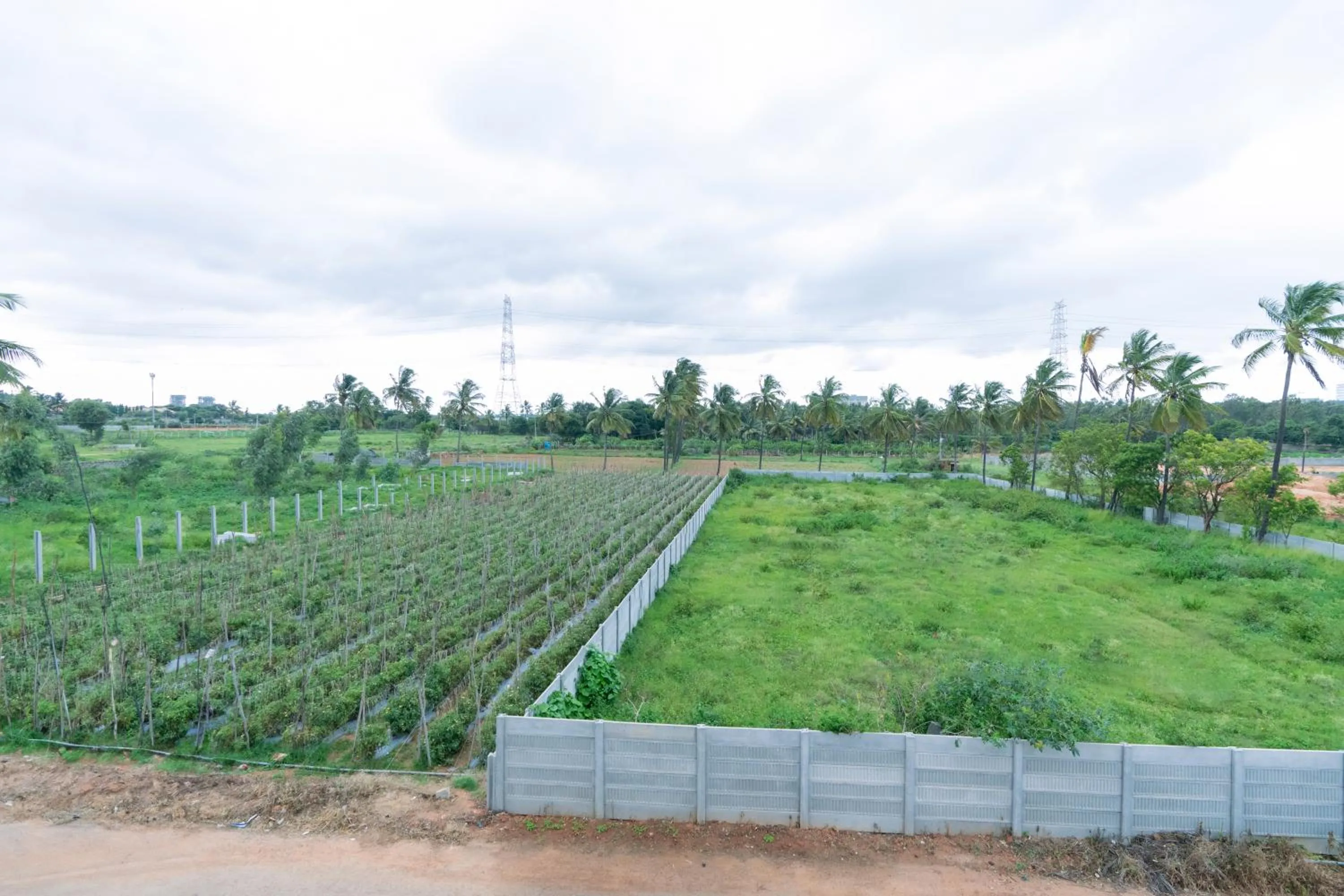 Natural landscape in Hotel Natasha Regency Bangalore Airport