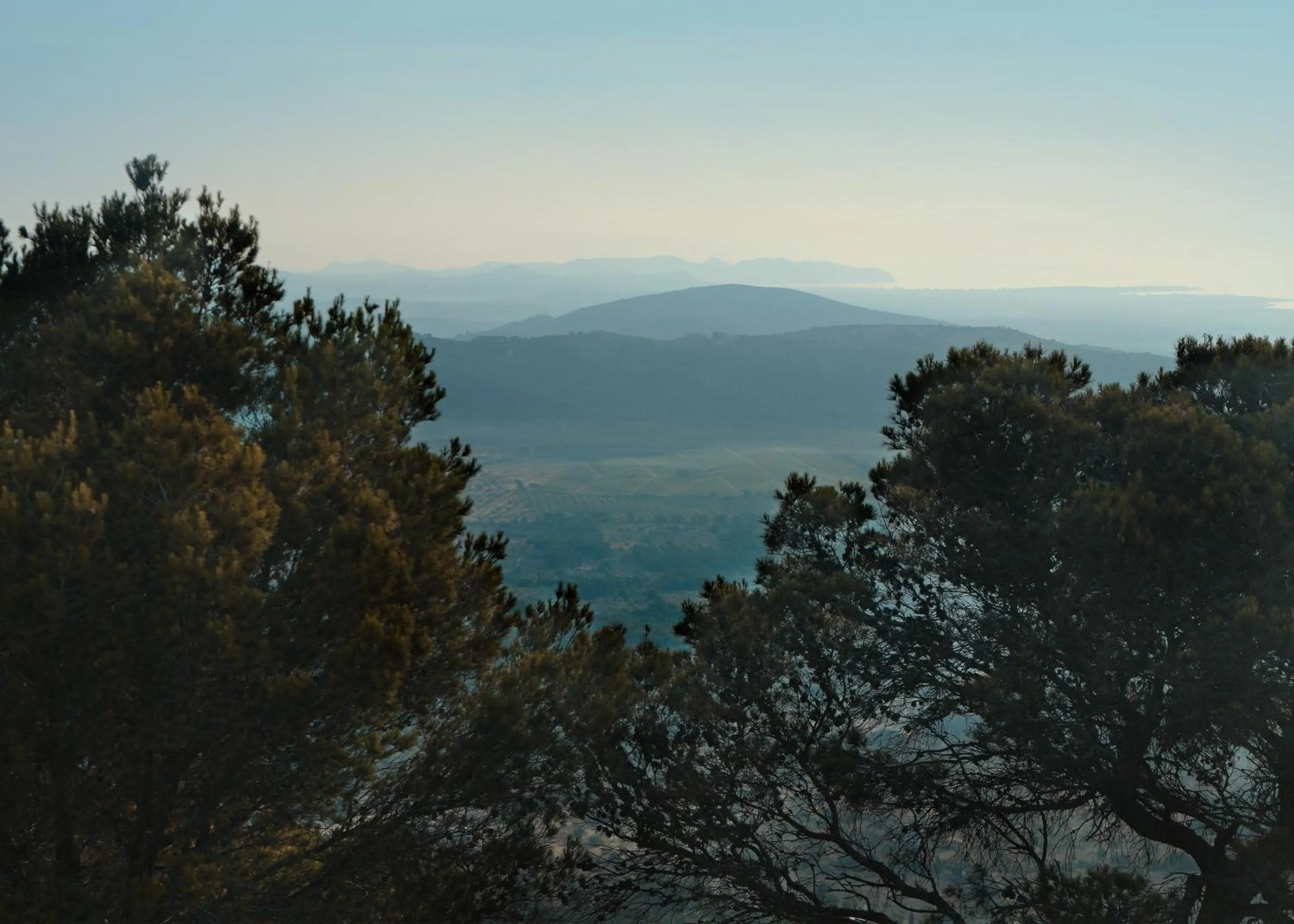 Natural landscape in Petit Hotel Hostatgeria Sant Salvador