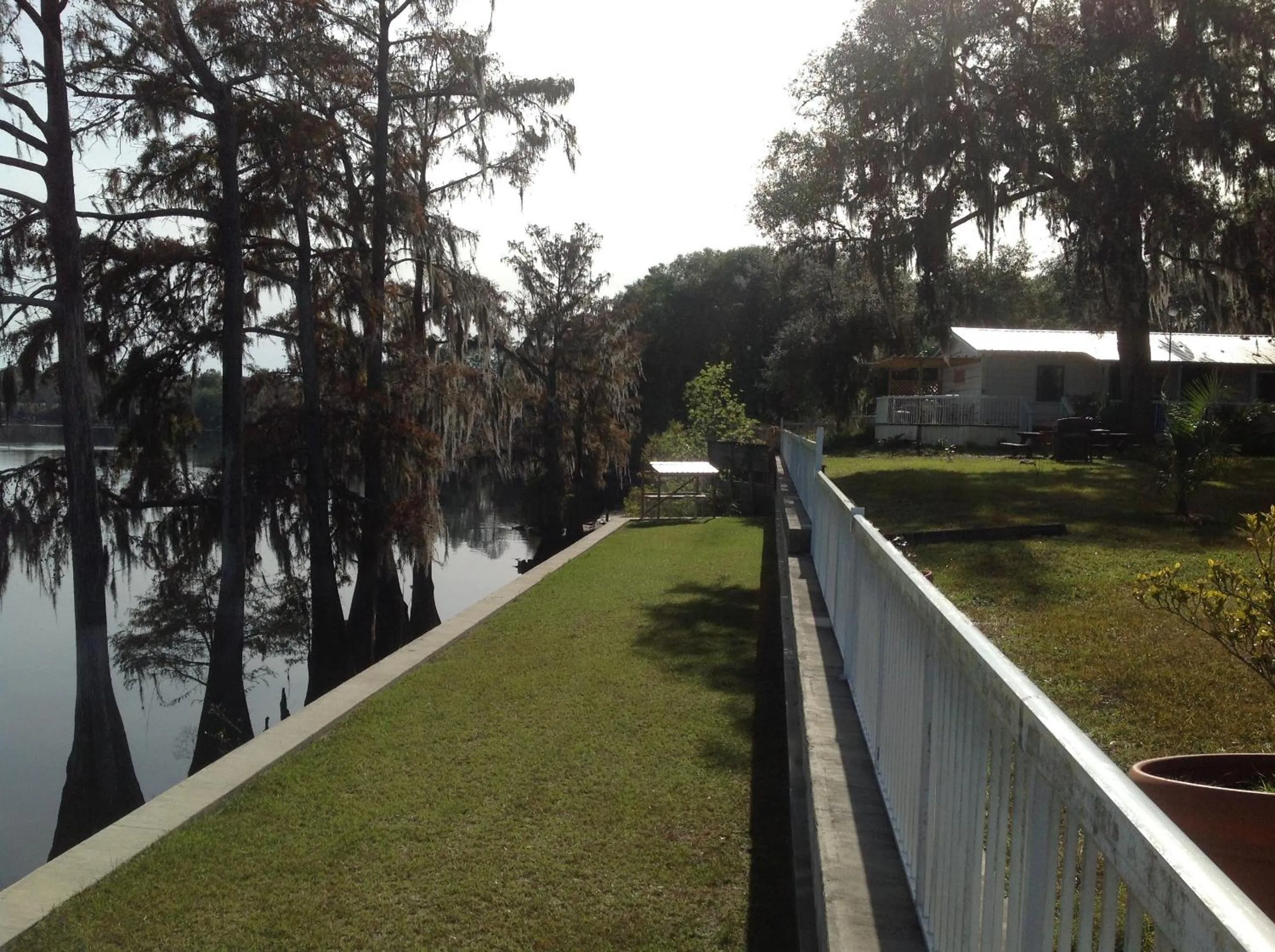 Area and facilities in The Suwannee Gables Motel & Marina