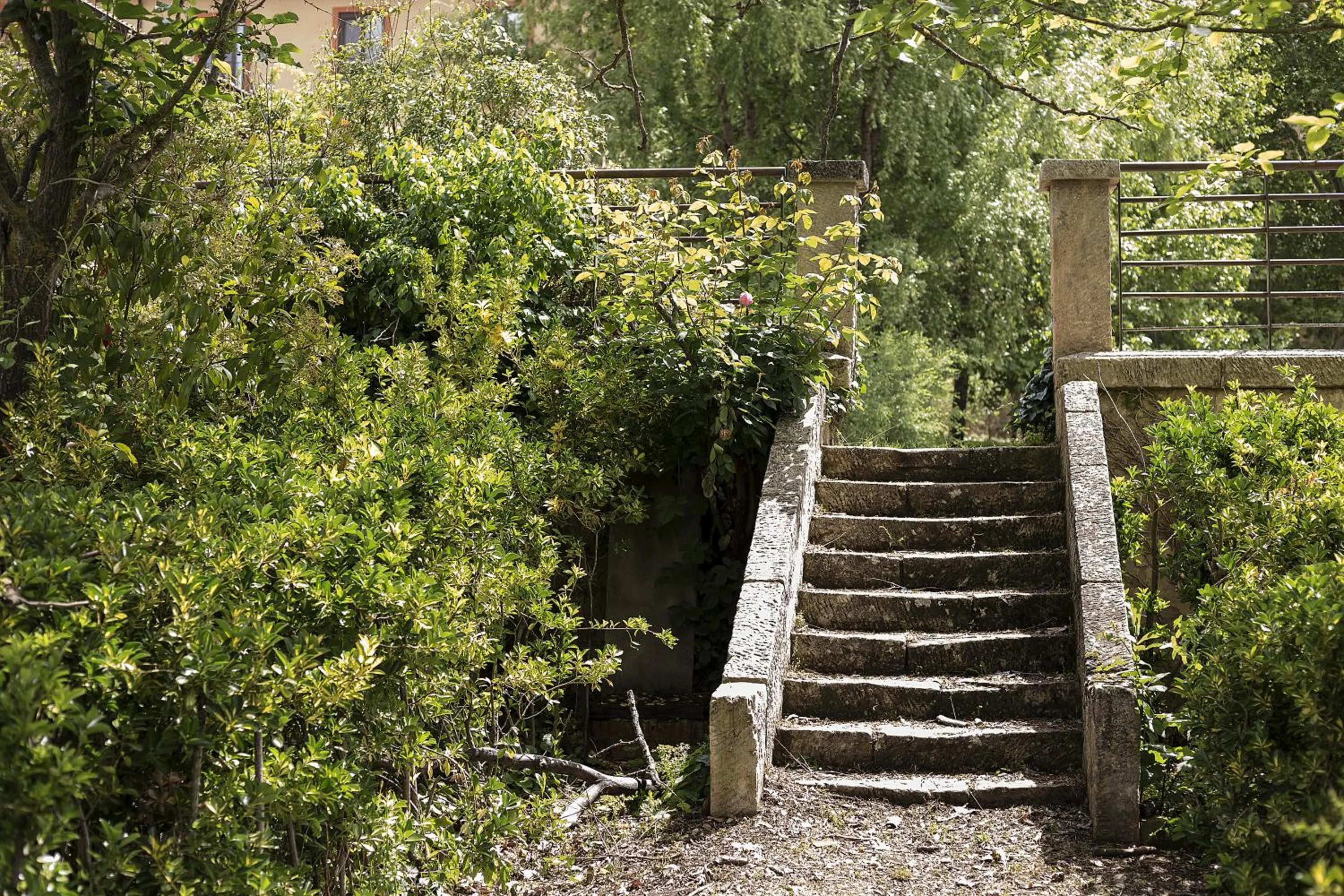Natural landscape in Hotel Real Balneario Carlos III