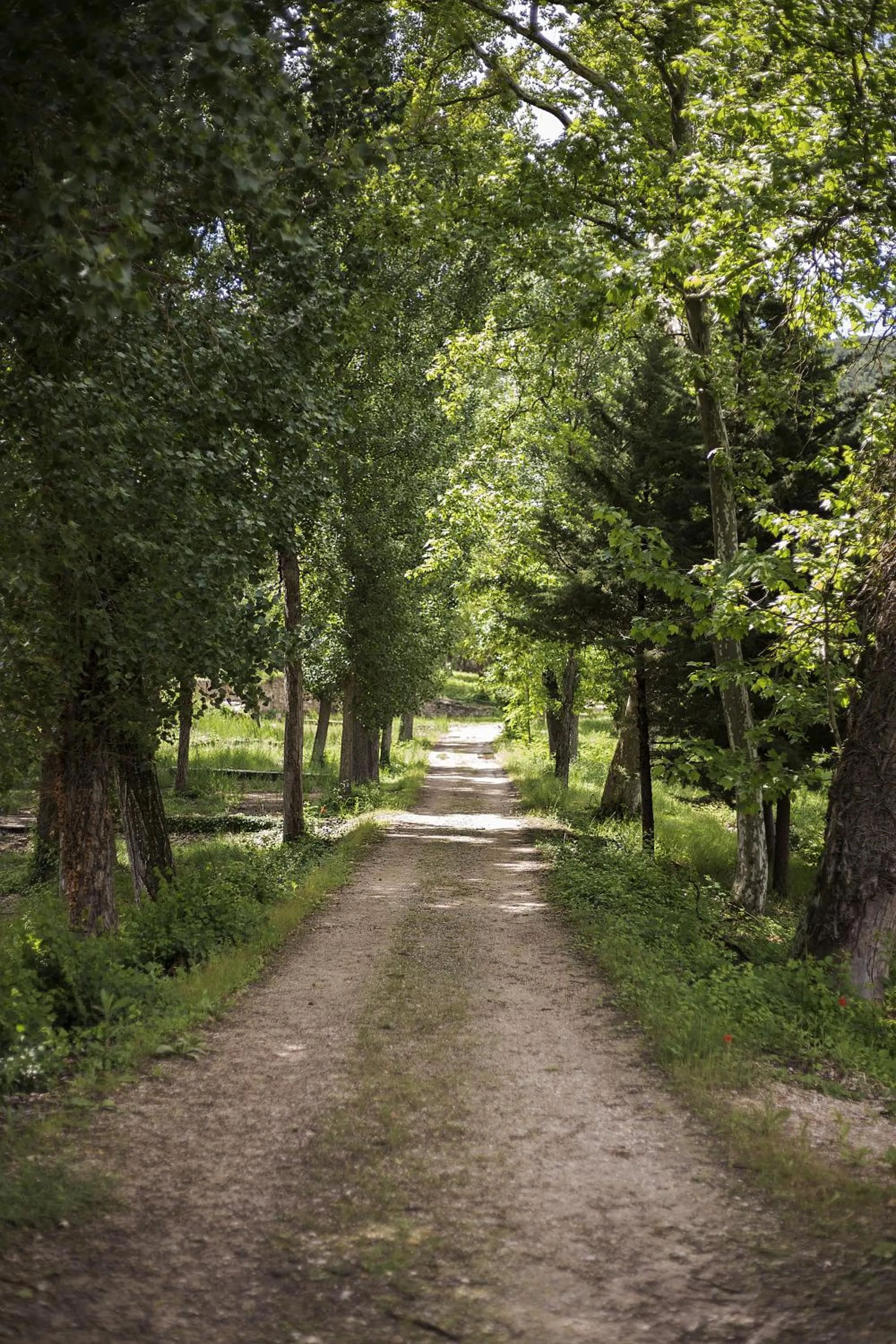 Off site in Hotel Real Balneario Carlos III