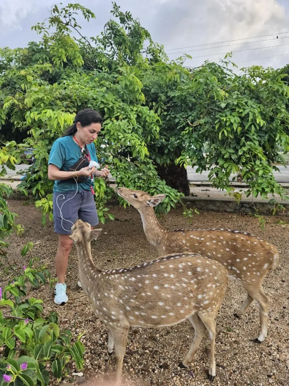 Day in Ceylon Beach haven Uppuveli