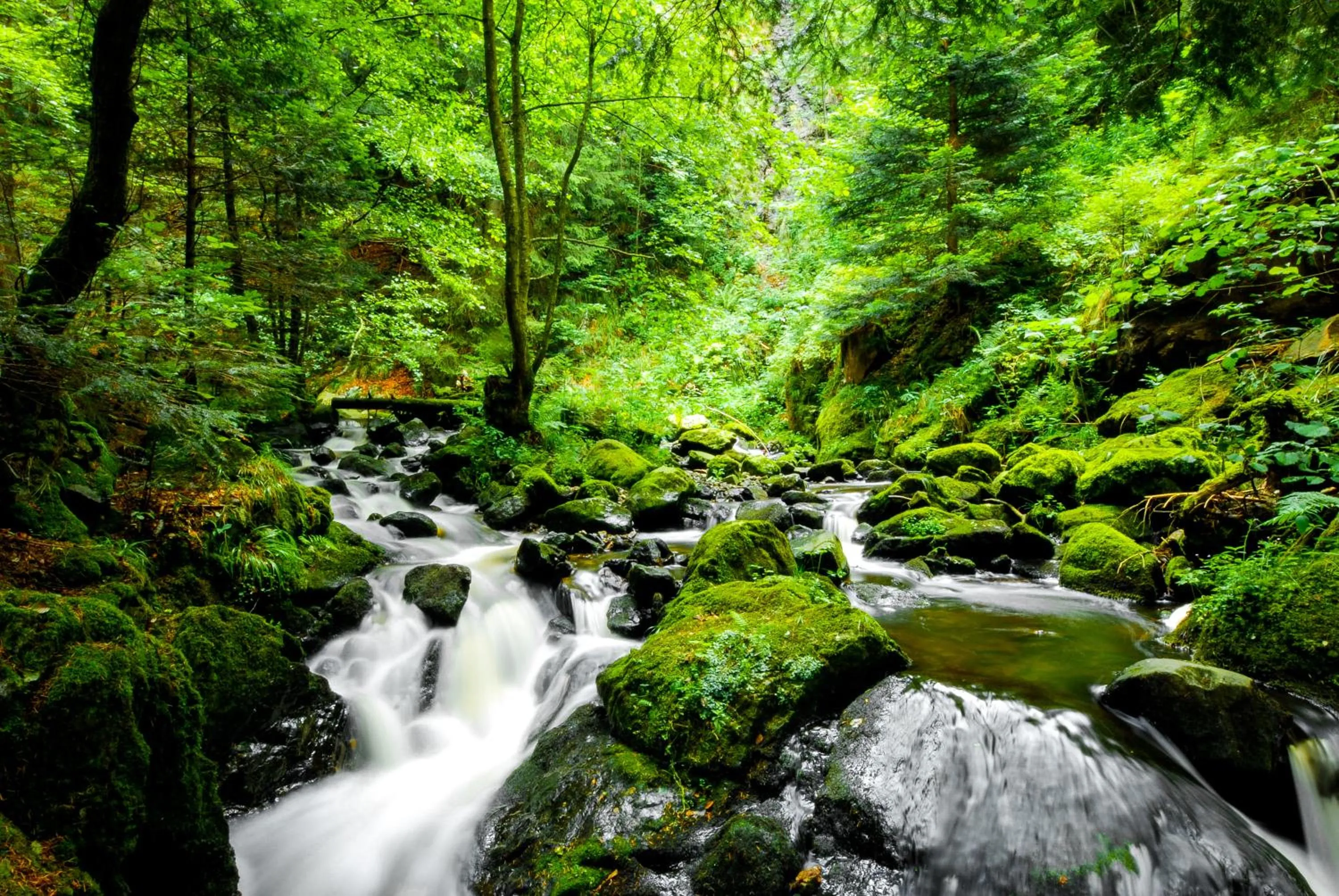 Natural landscape in REGIOHOTEL Harzresidenz Wernigerode - #Familienfreundlich #FrischRenoviert #Waschmaschine #FreeParking