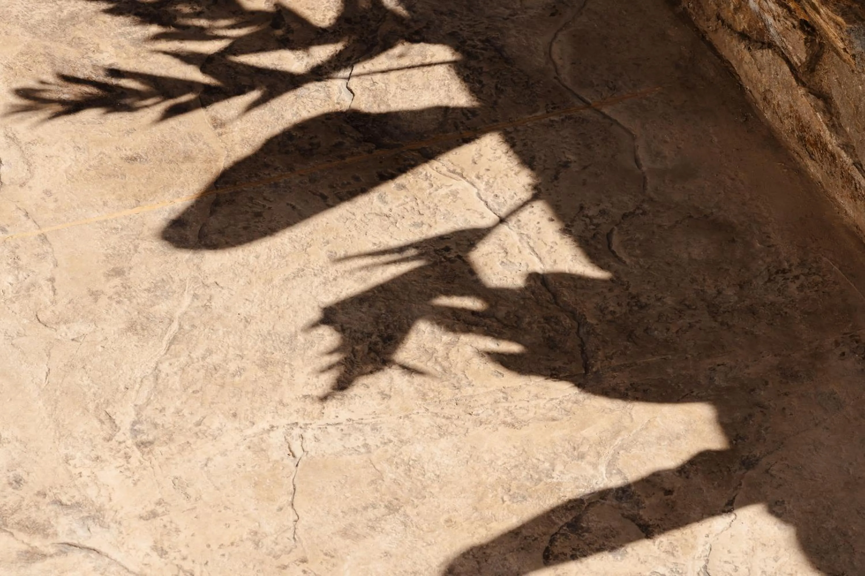 Day in Thalelion 3 bedroom Villas with private pool and Jacuzzi