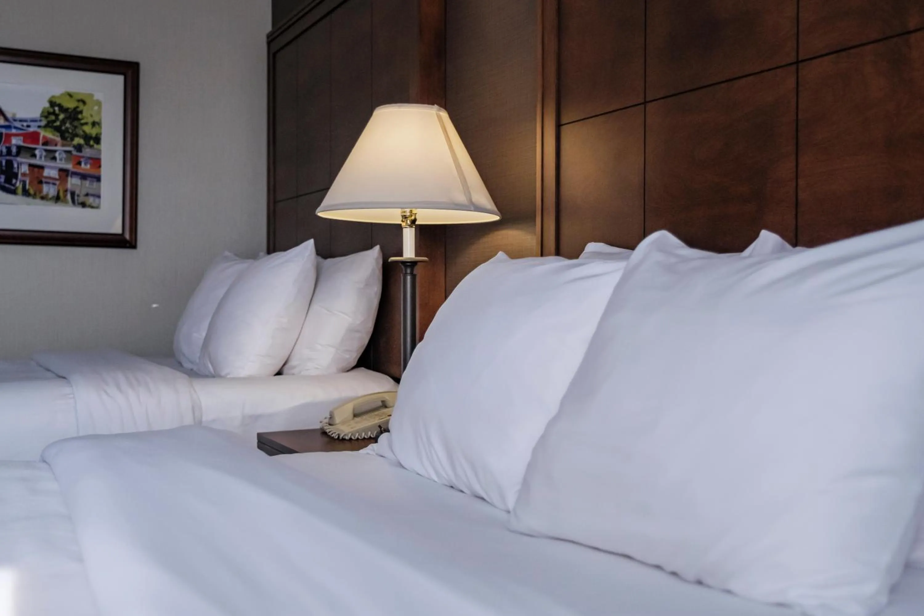 Bed in Comfort Inn - Gander