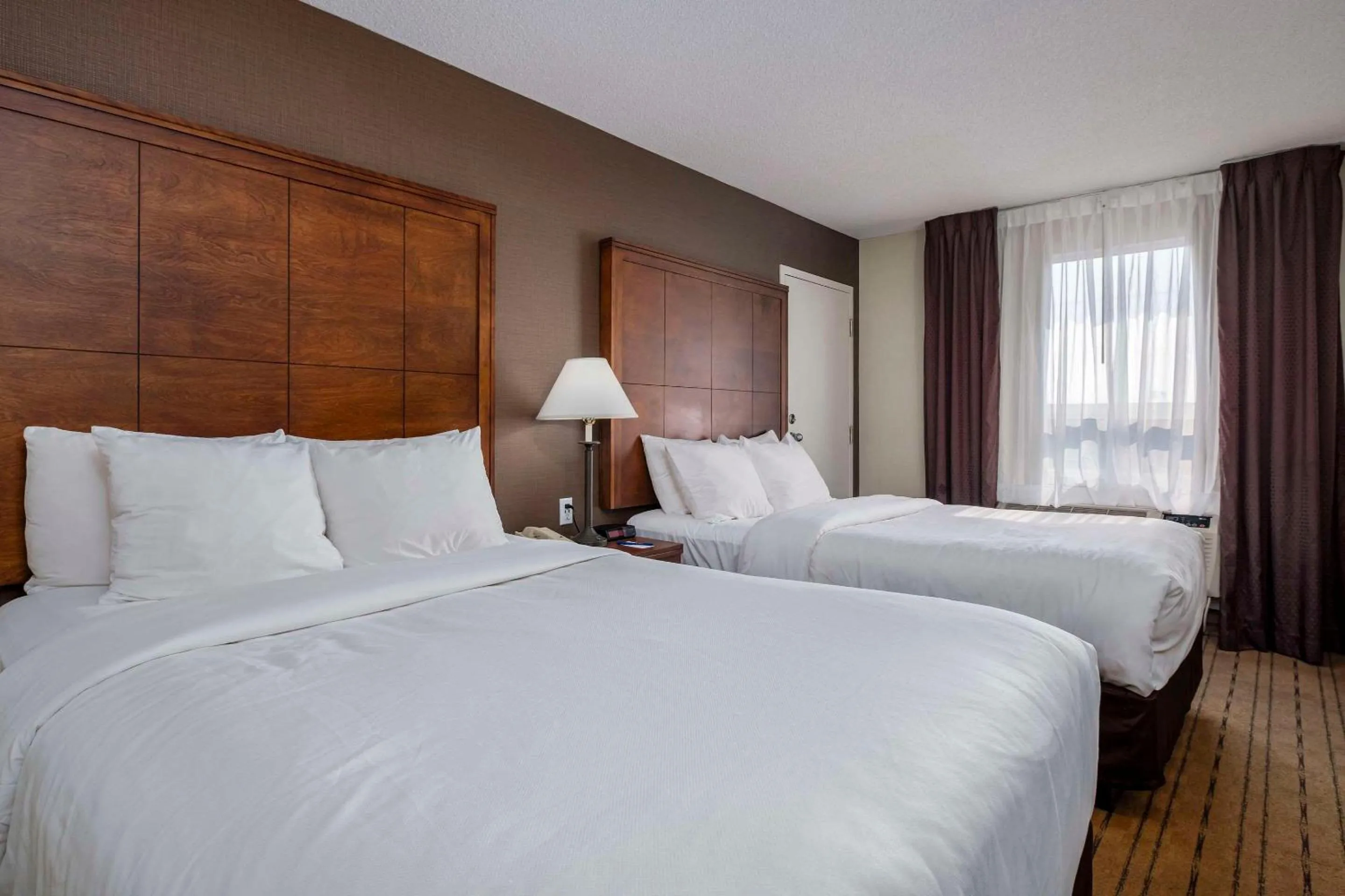 Bedroom, Bed in Comfort Inn - Gander