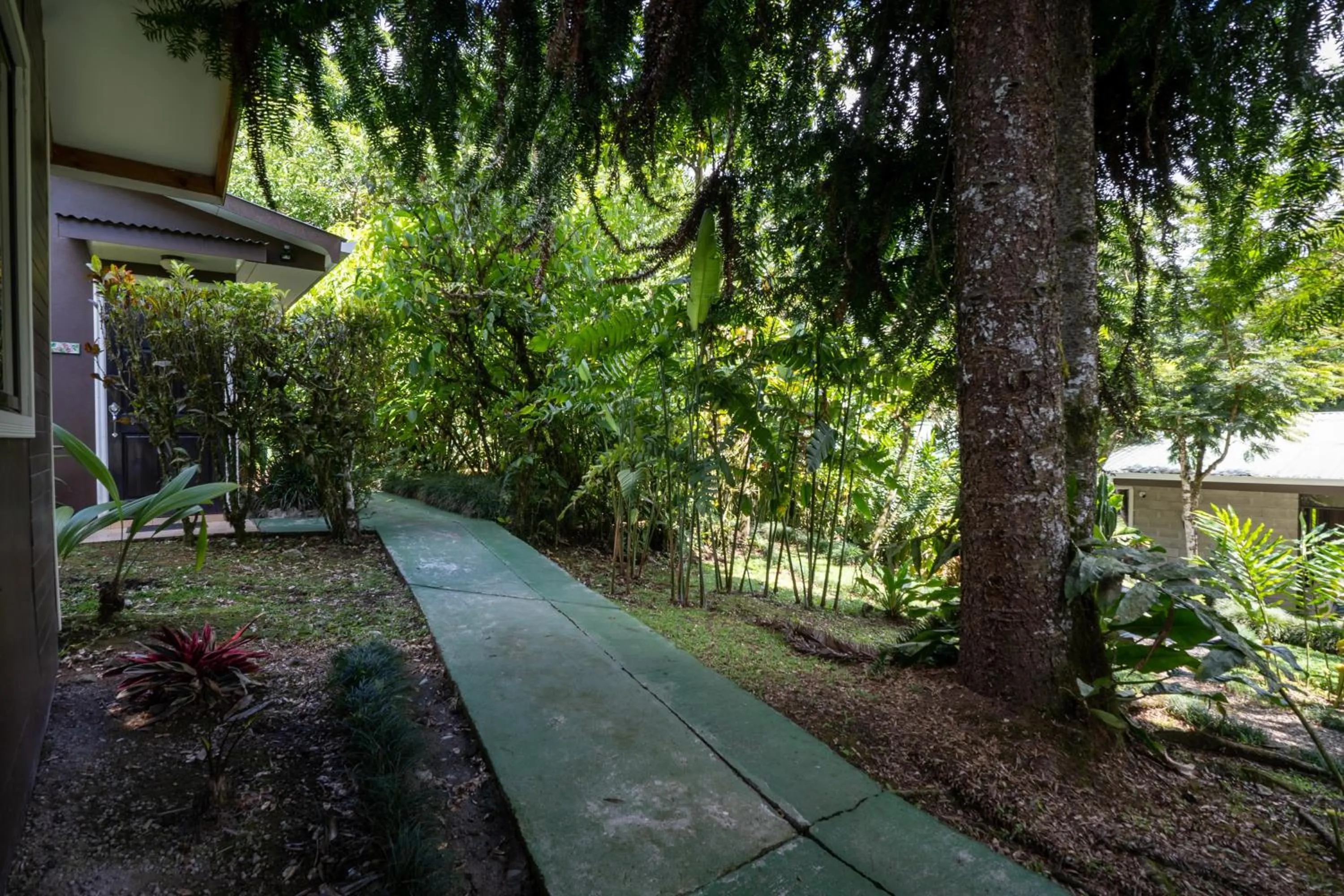 Garden in Cabañas Green House