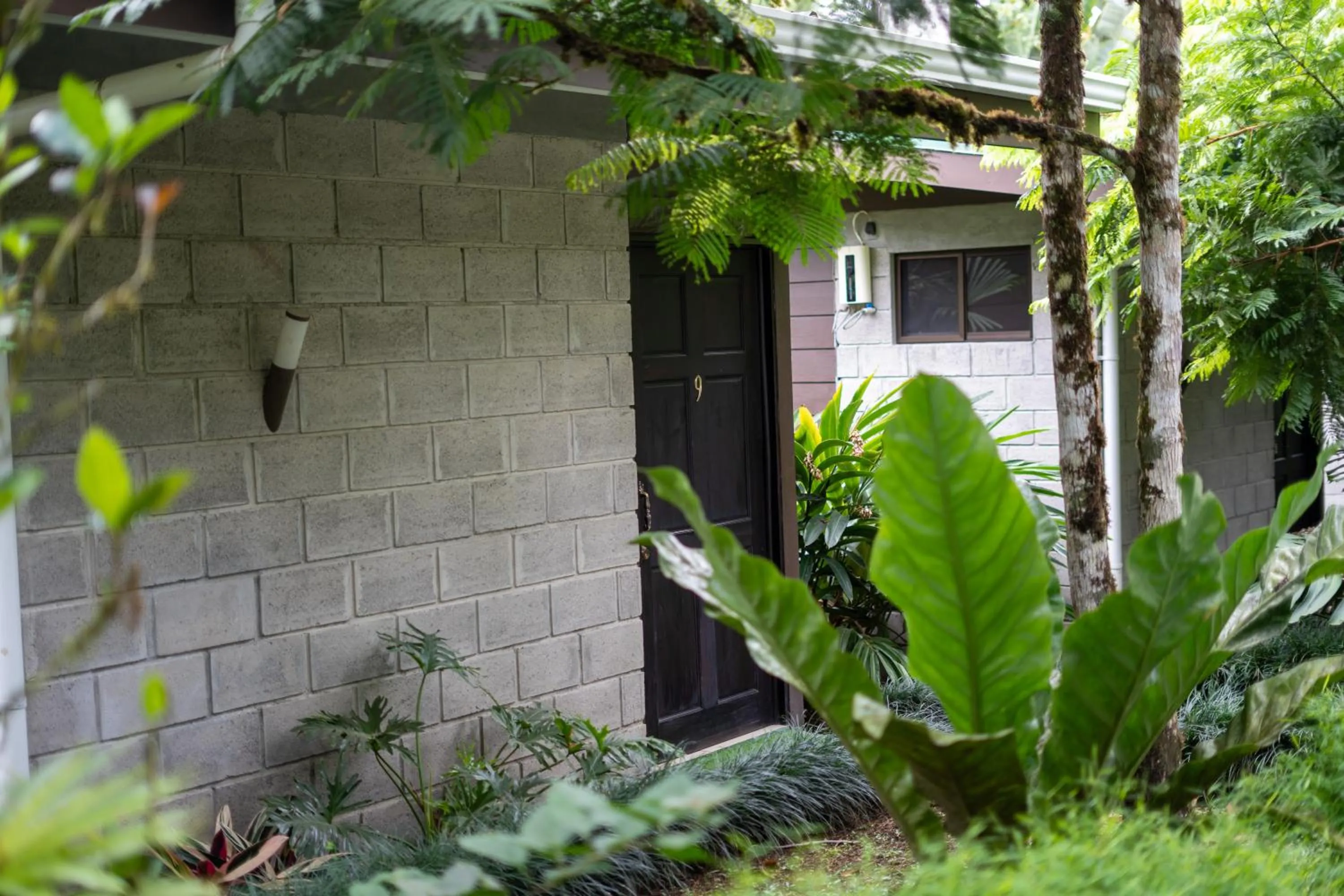 Cabañas Green House