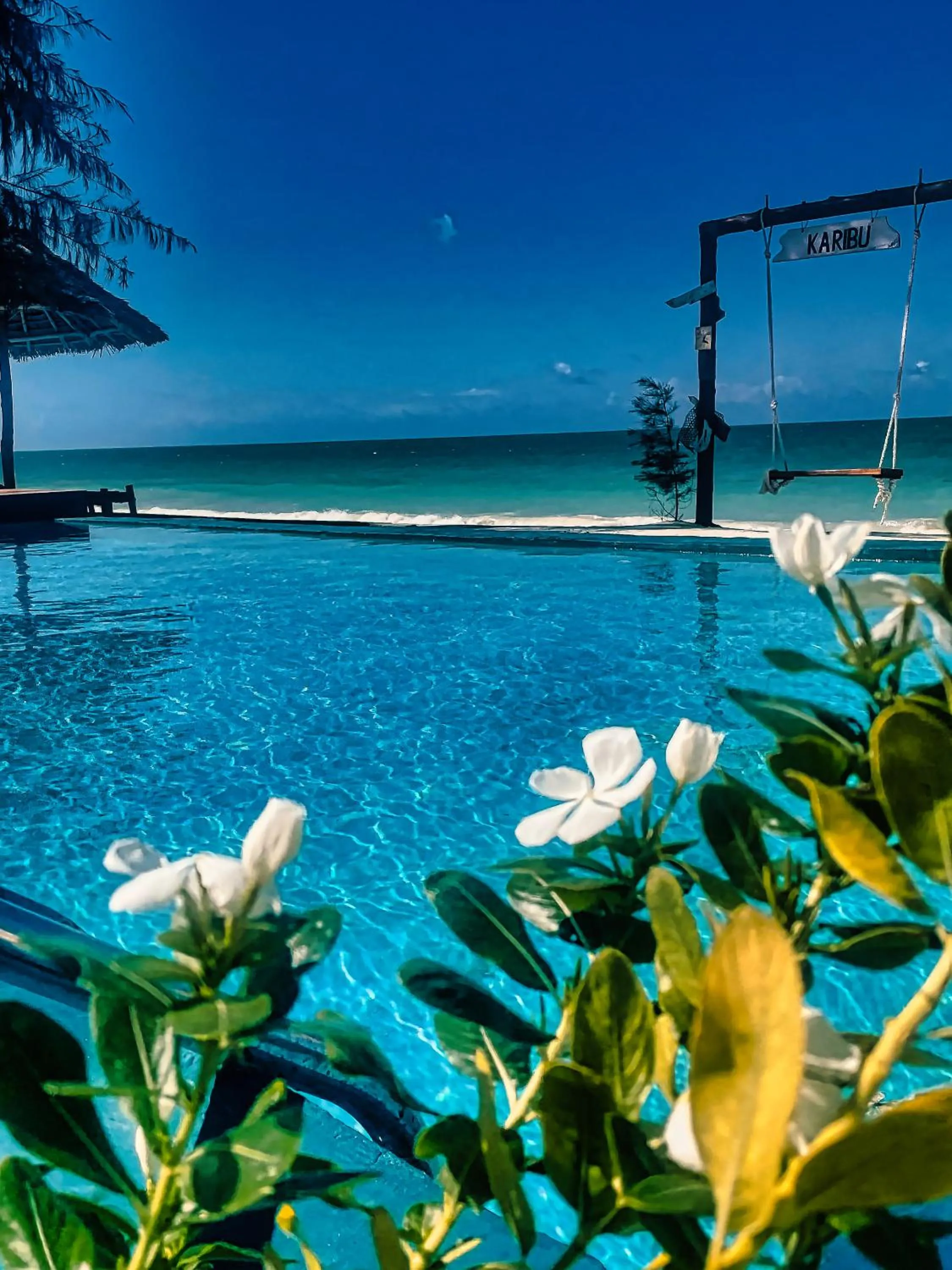 Natural landscape in AVO Boutique Hotel