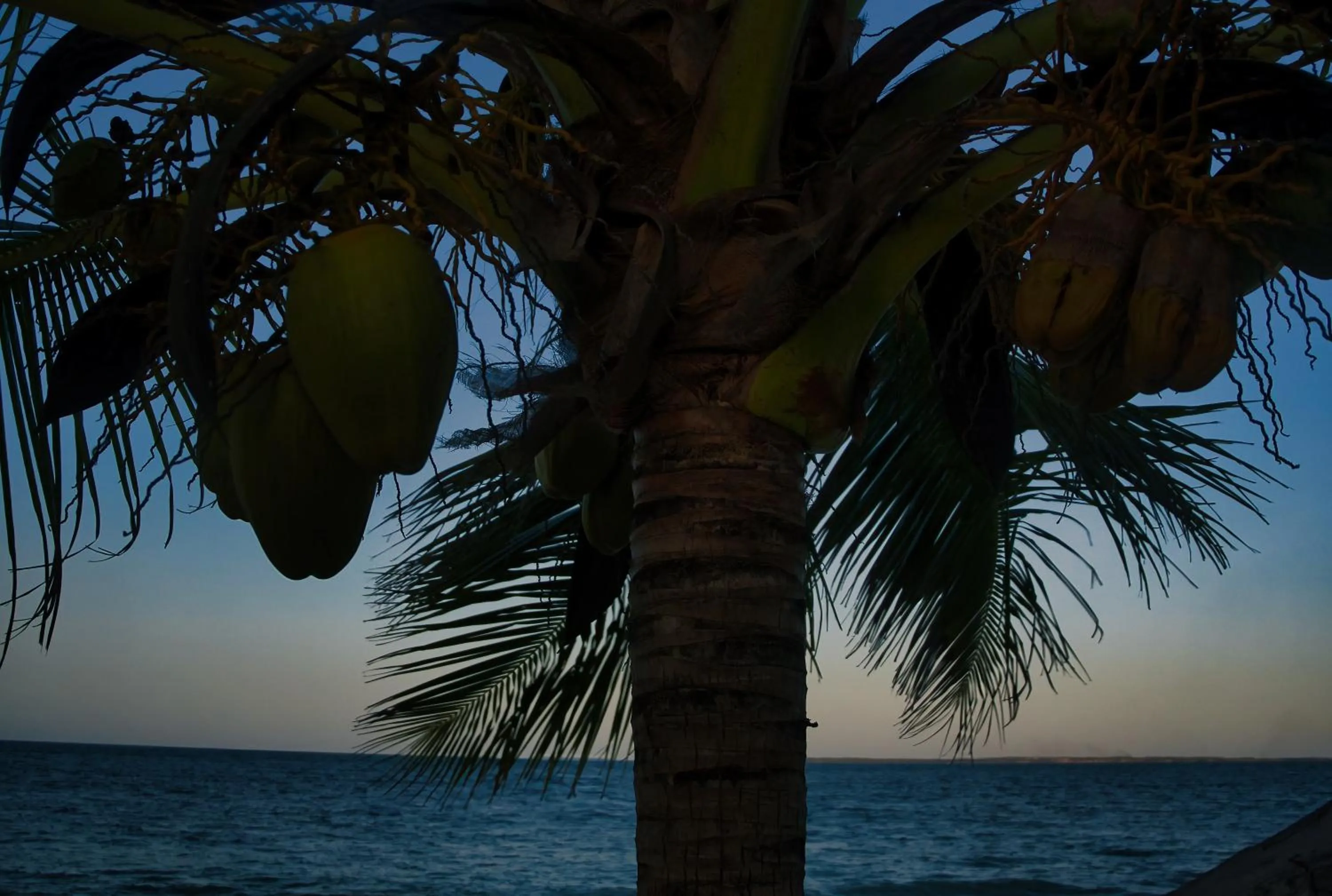 Natural landscape in AVO Boutique Hotel
