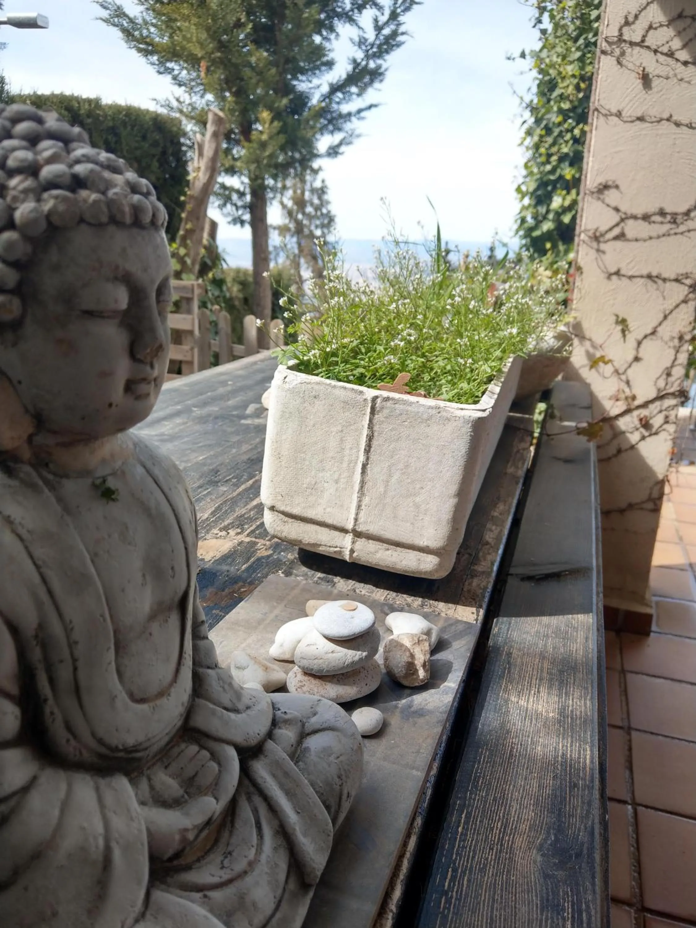 Hotel El Balcon de las nieves