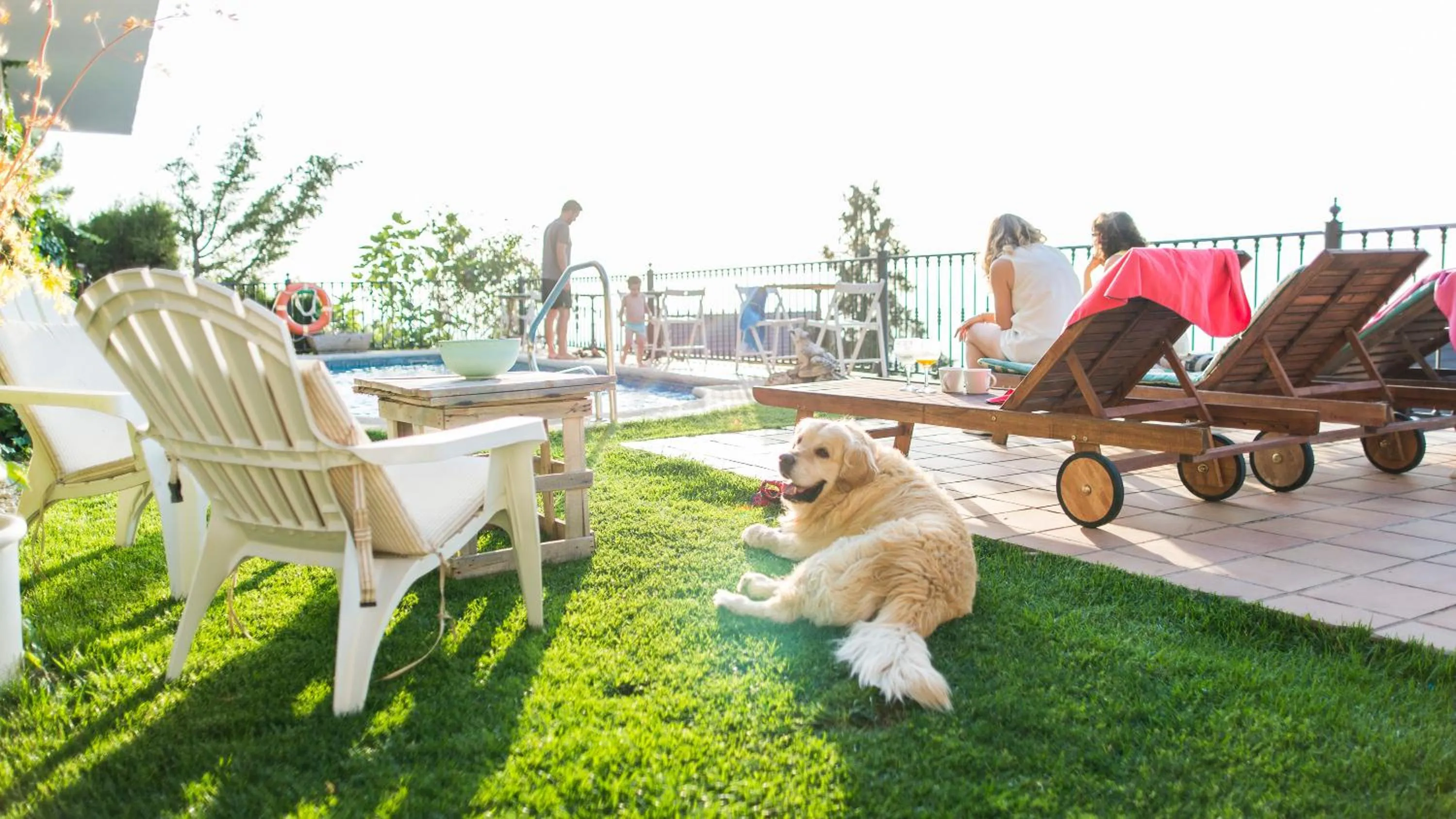 Garden in Hotel El Balcon de las nieves