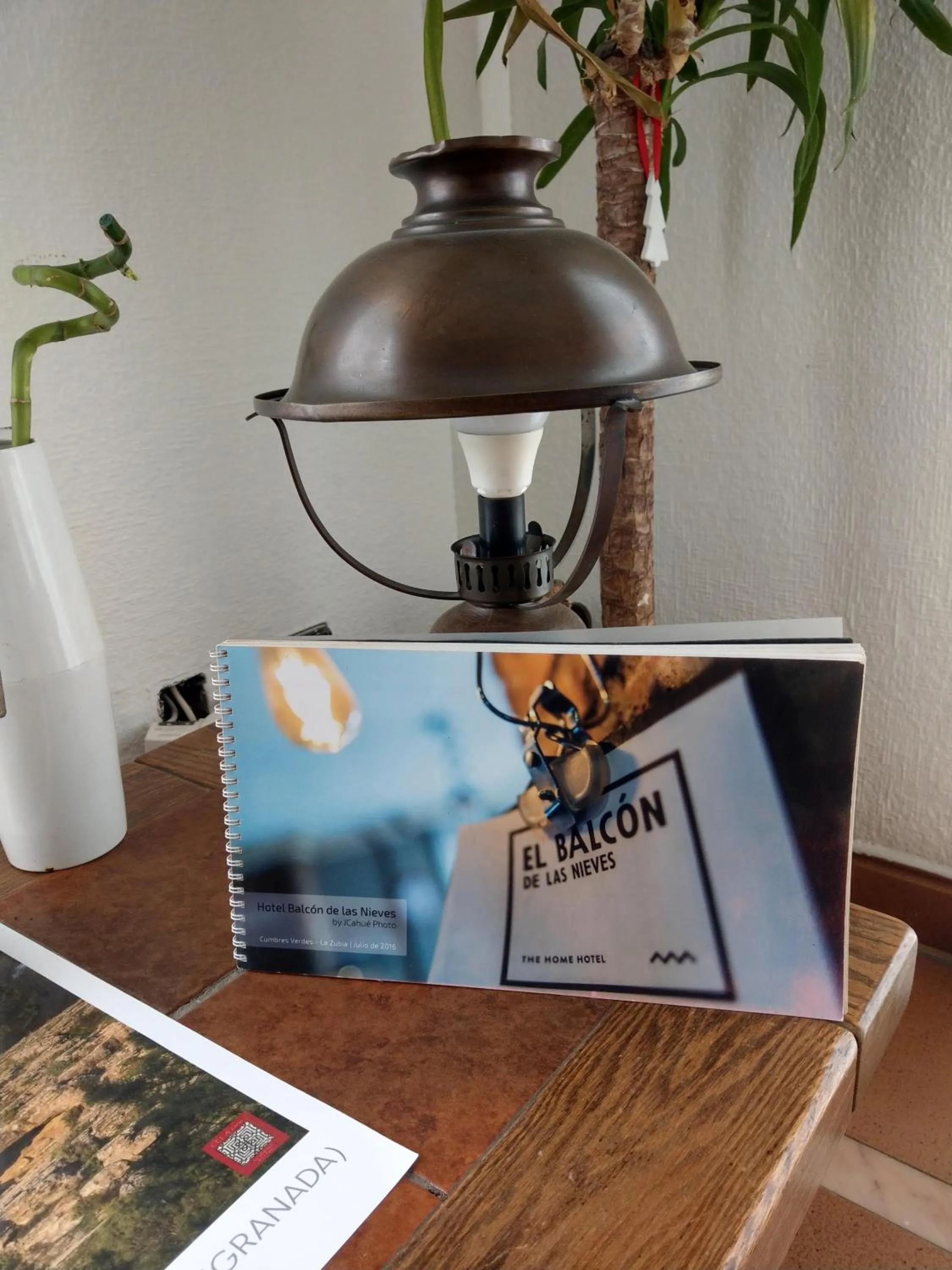 Hotel El Balcon de las nieves