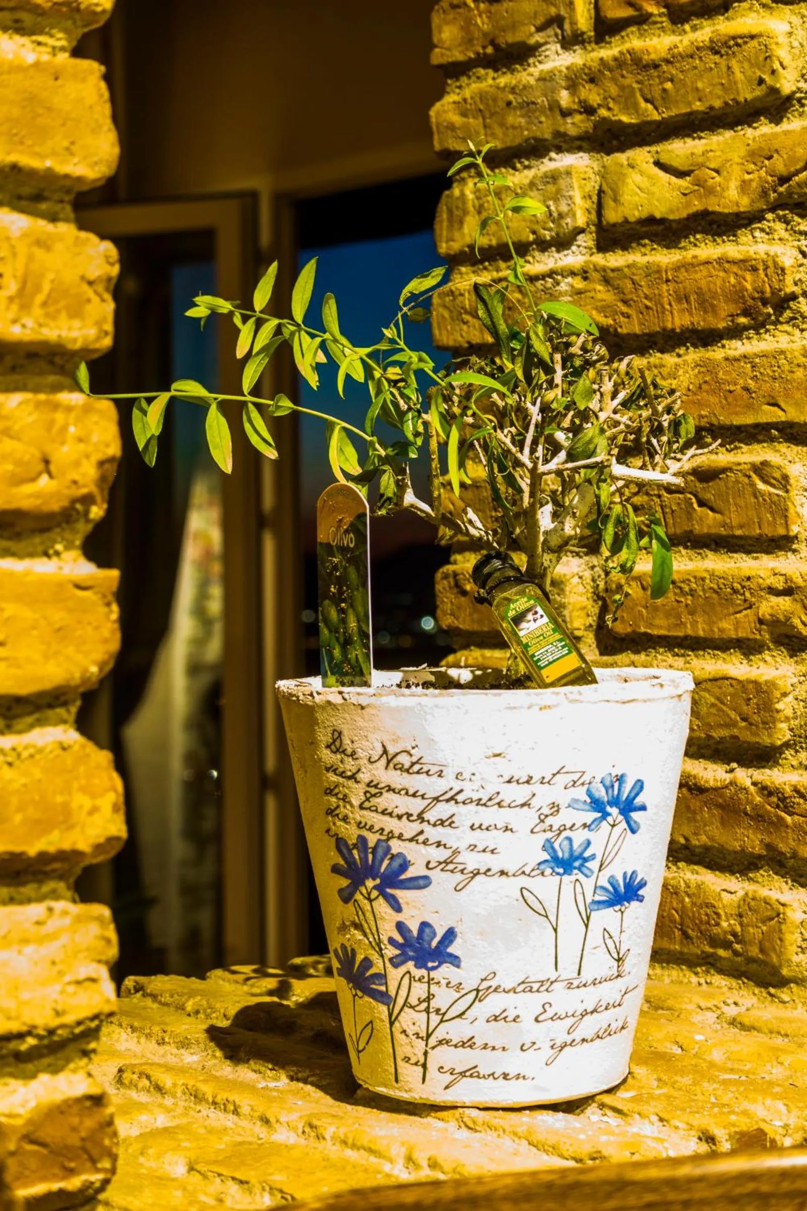 Decorative detail in Hotel El Balcon de las nieves
