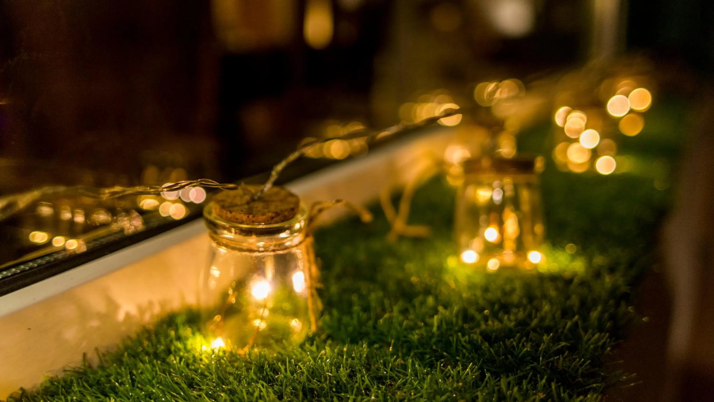 Garden in Hotel El Balcon de las nieves
