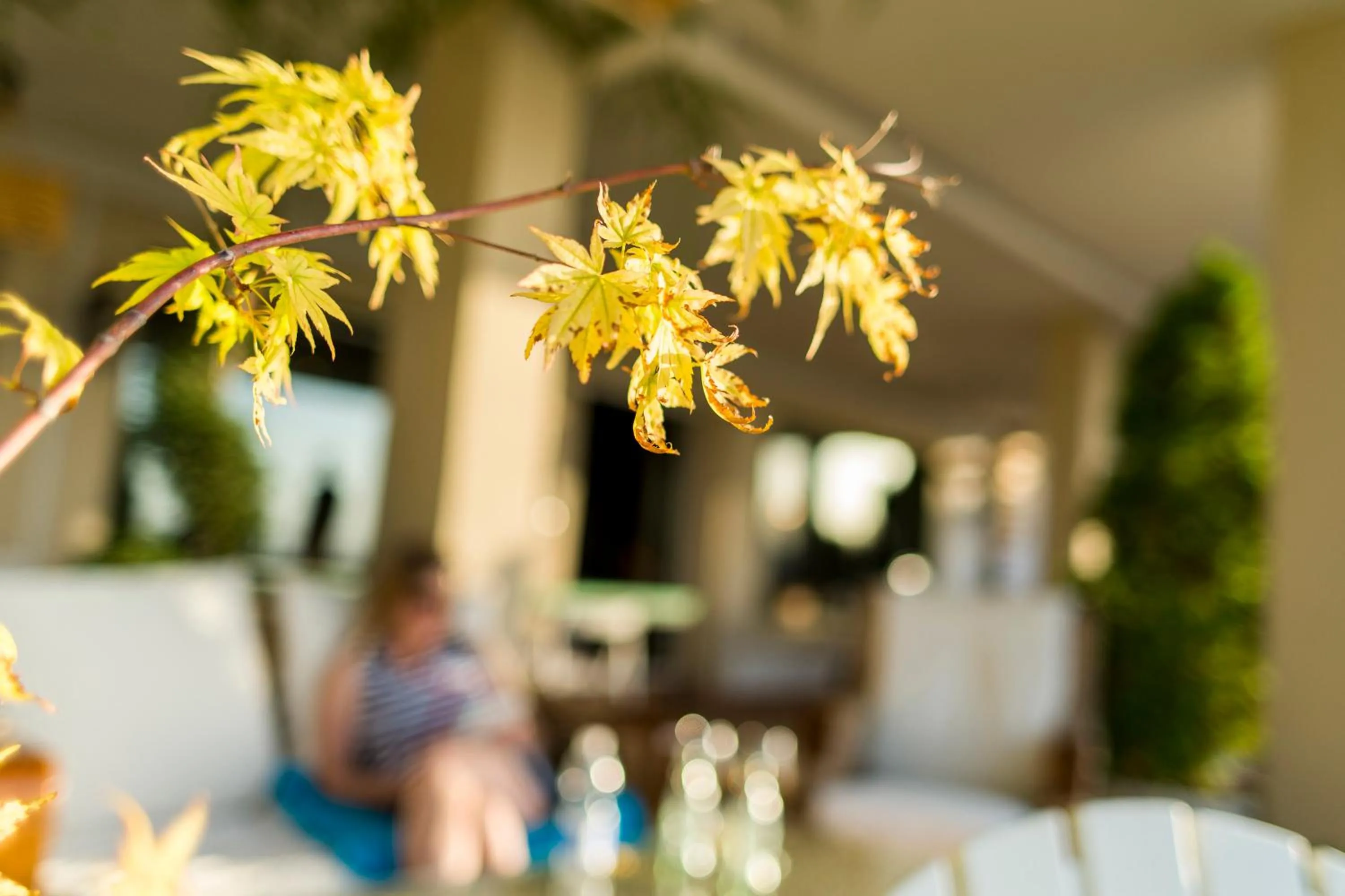 Garden view in Hotel El Balcon de las nieves