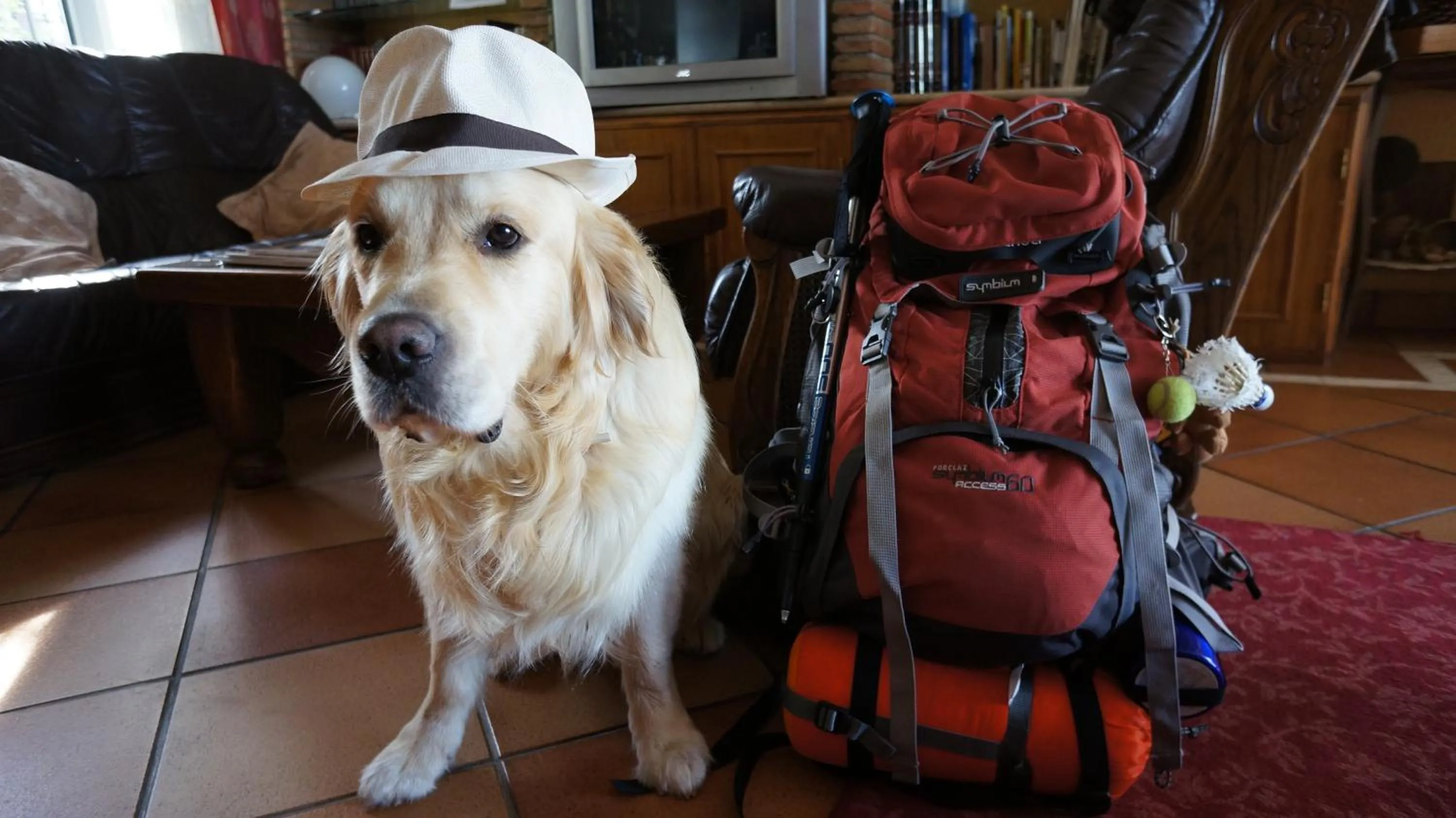Hiking in Hotel El Balcon de las nieves