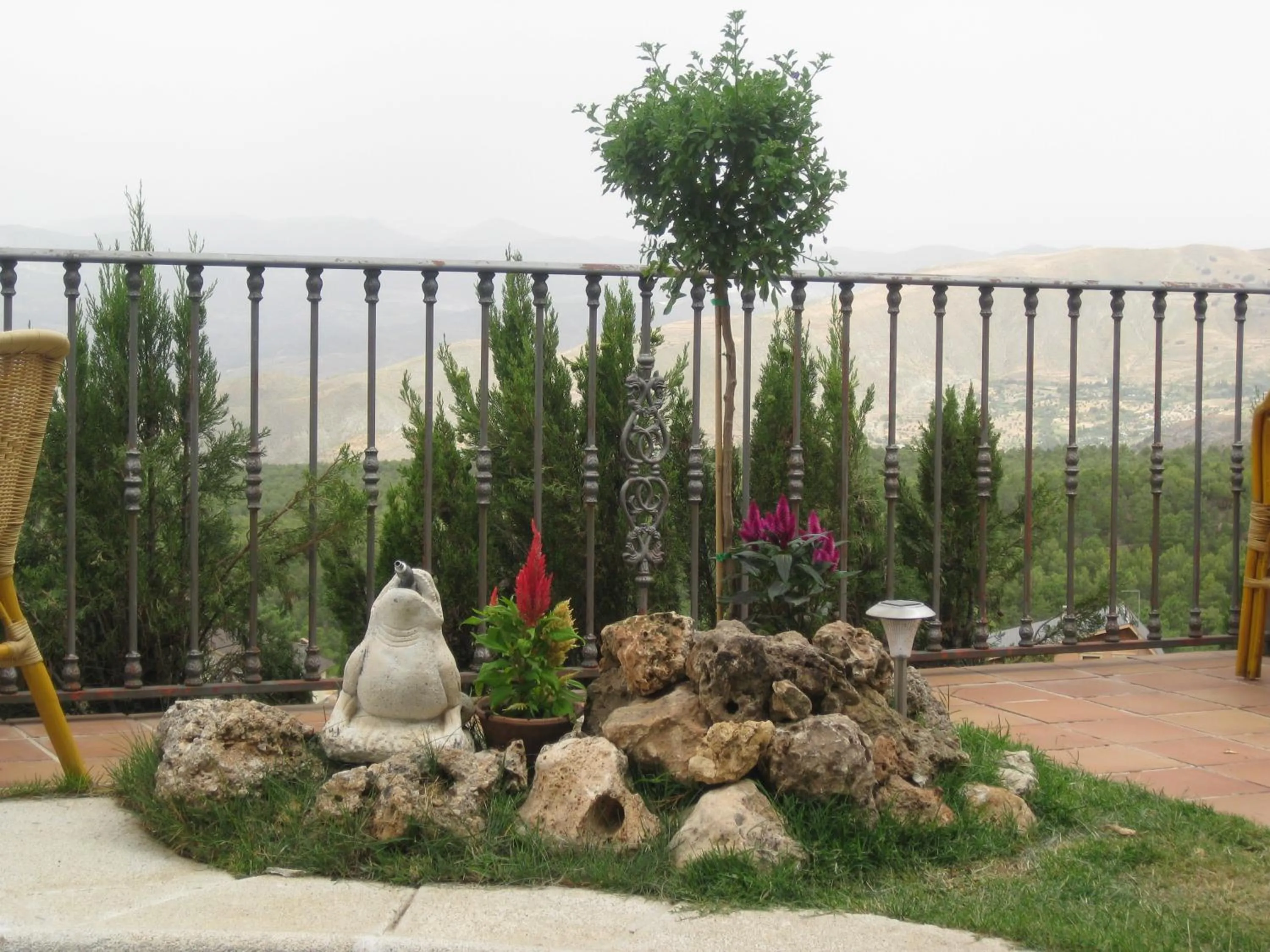 Area and facilities in Hotel El Balcon de las nieves