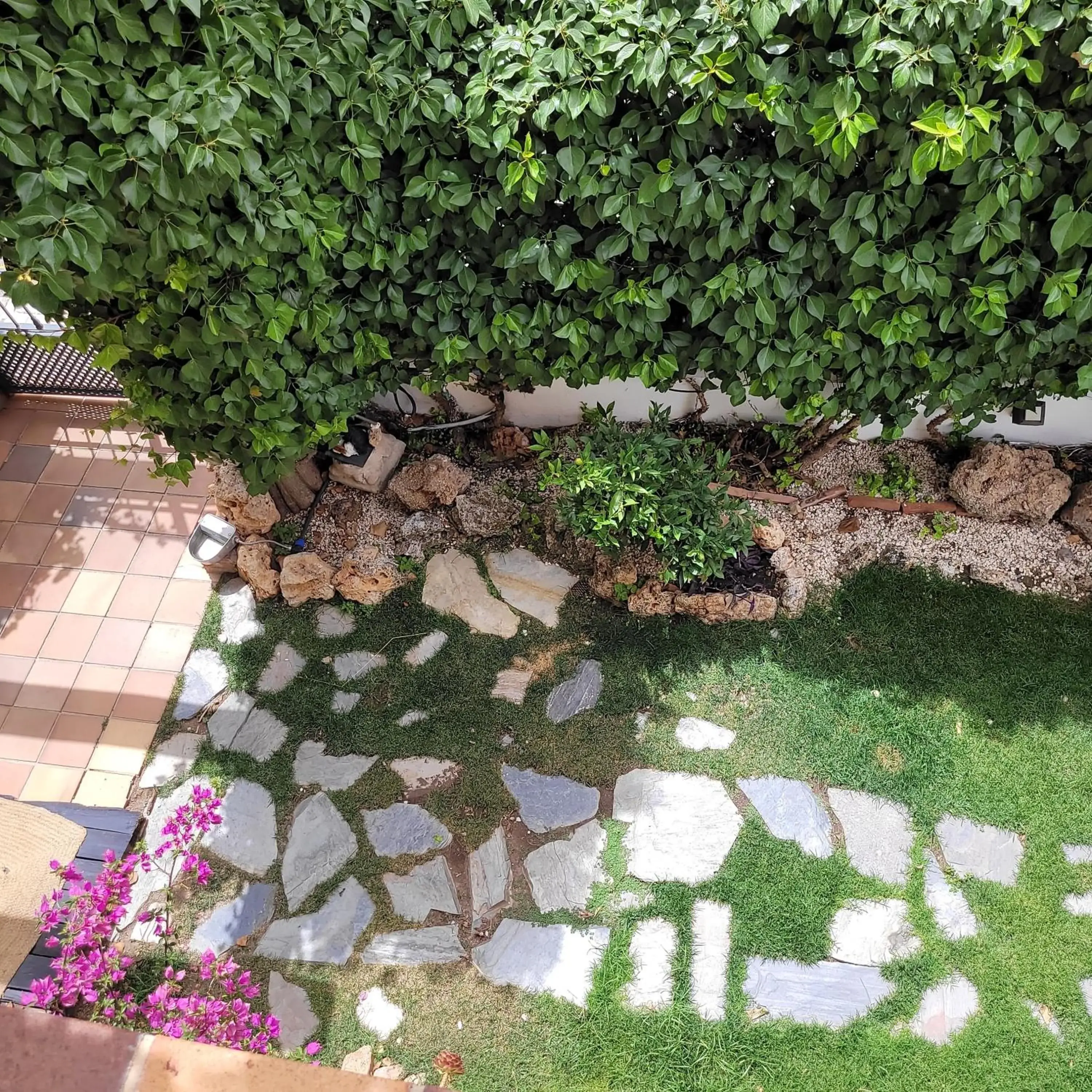 Junior Suite in Hotel El Balcon de las nieves Junior Suite in Hotel El Balcon de las nieves