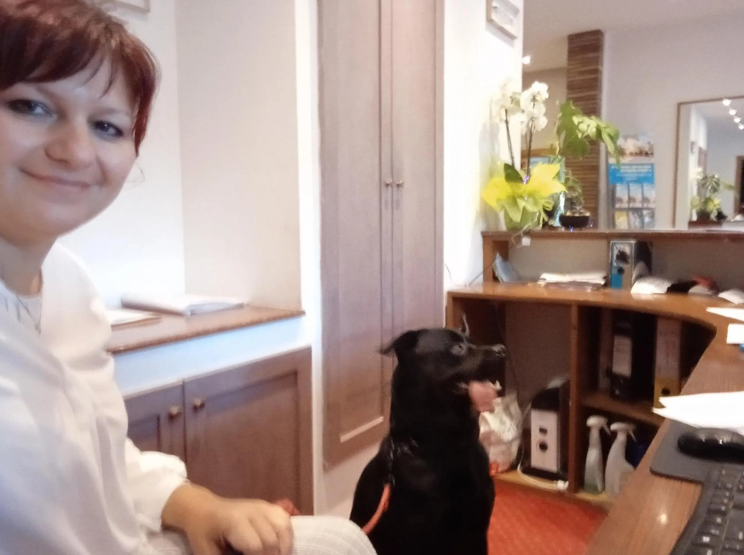 Lobby or reception in Hotel Buenos Aires