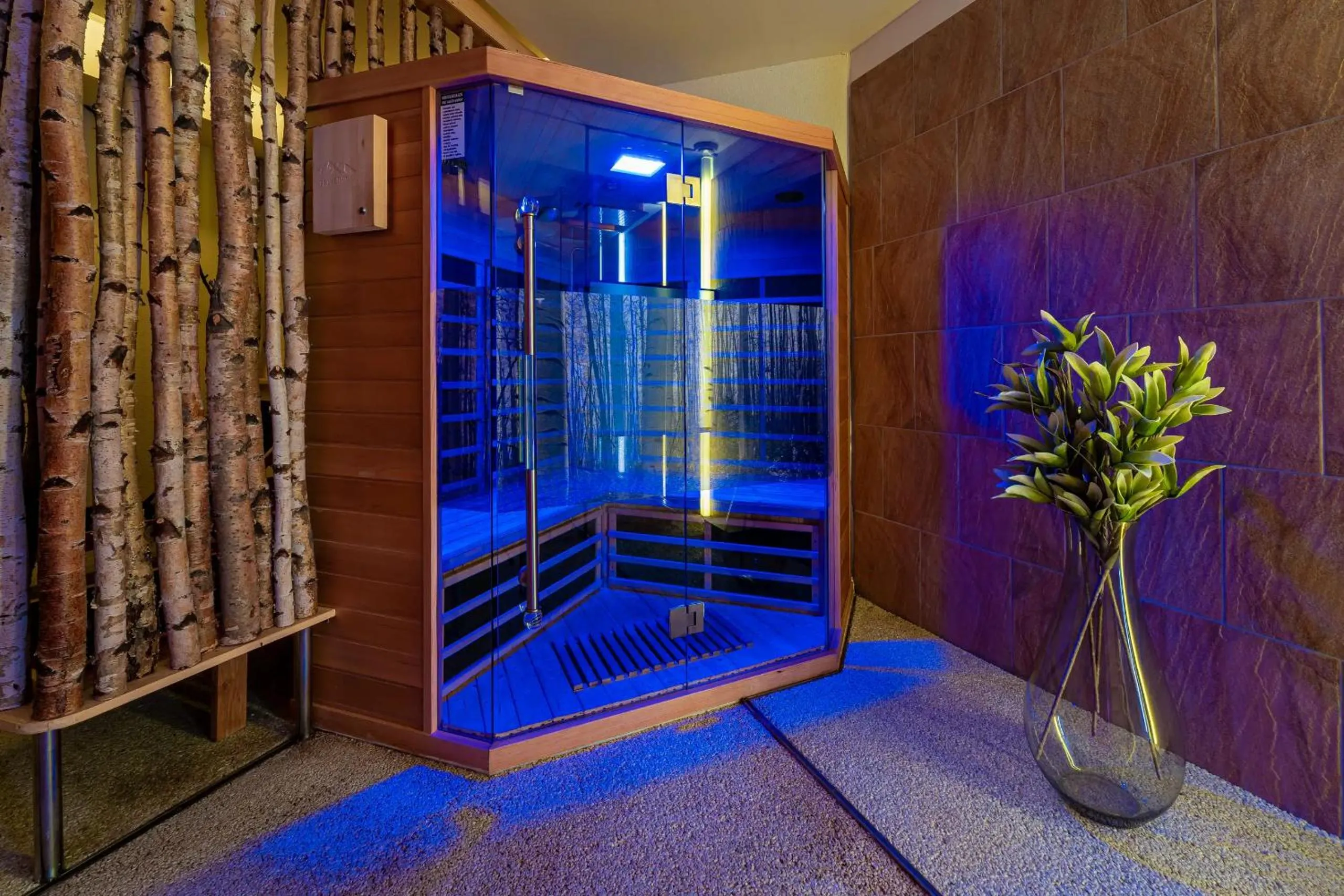 Sauna in Aparthotel Belveder