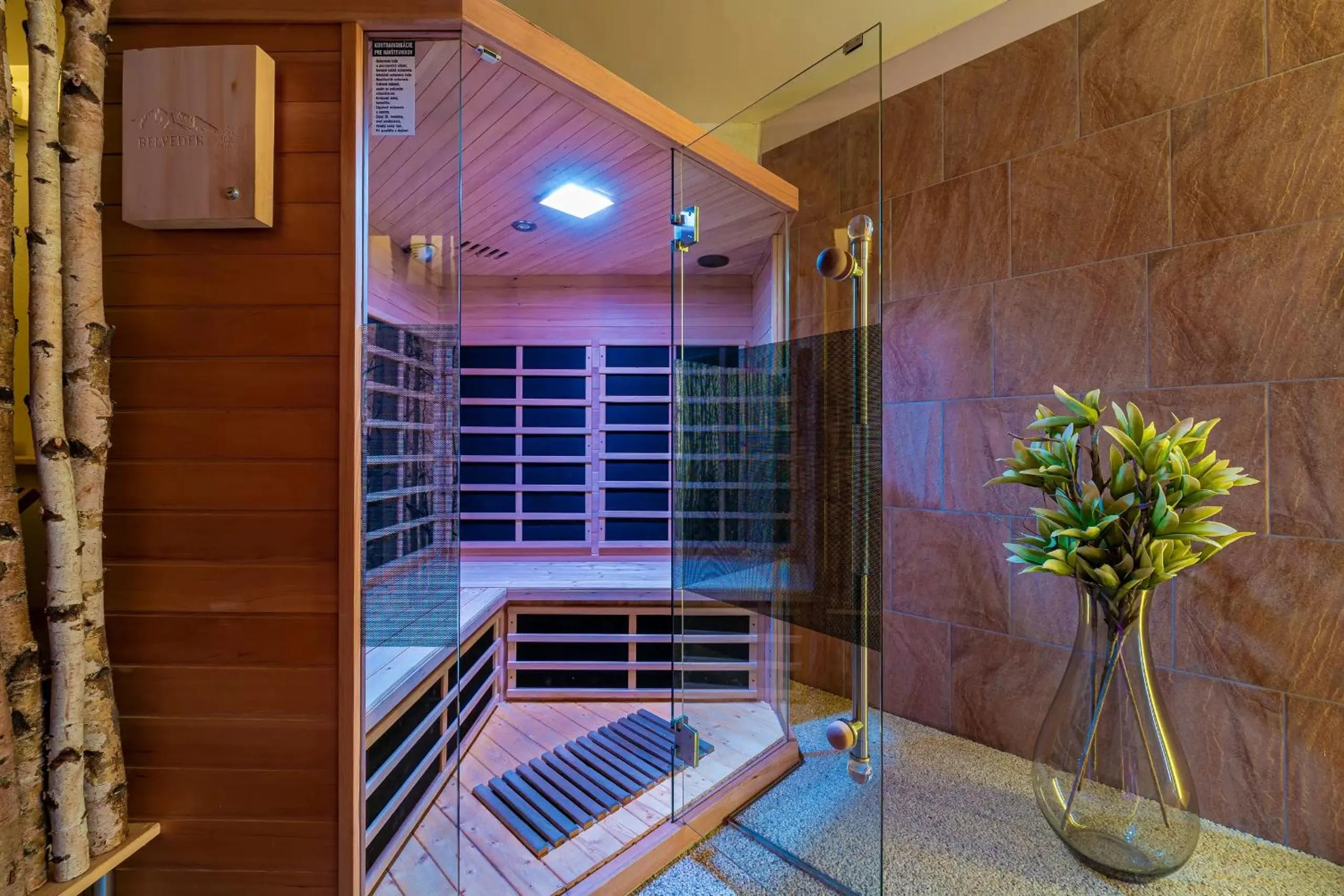 Sauna in Aparthotel Belveder