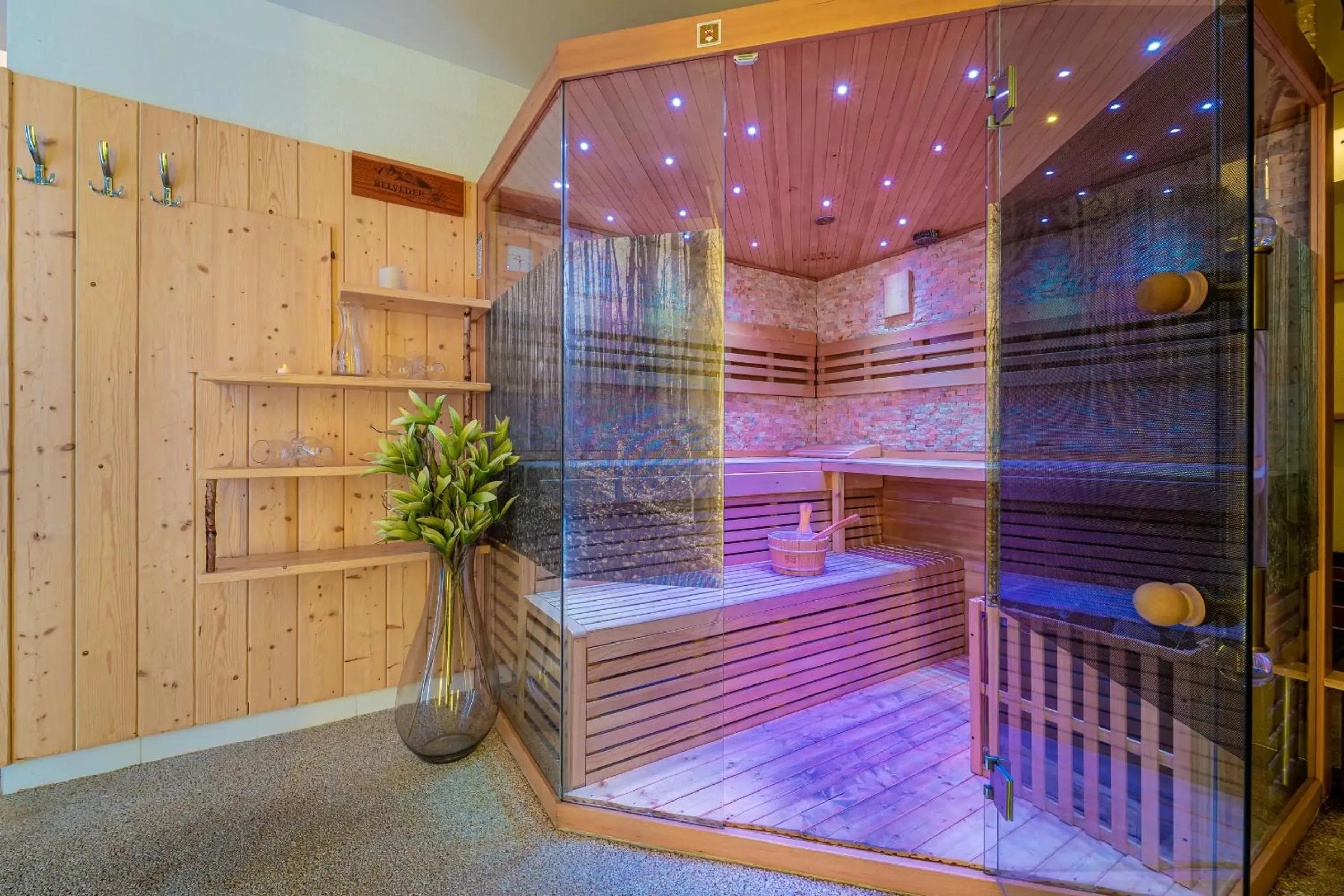 Sauna in Aparthotel Belveder