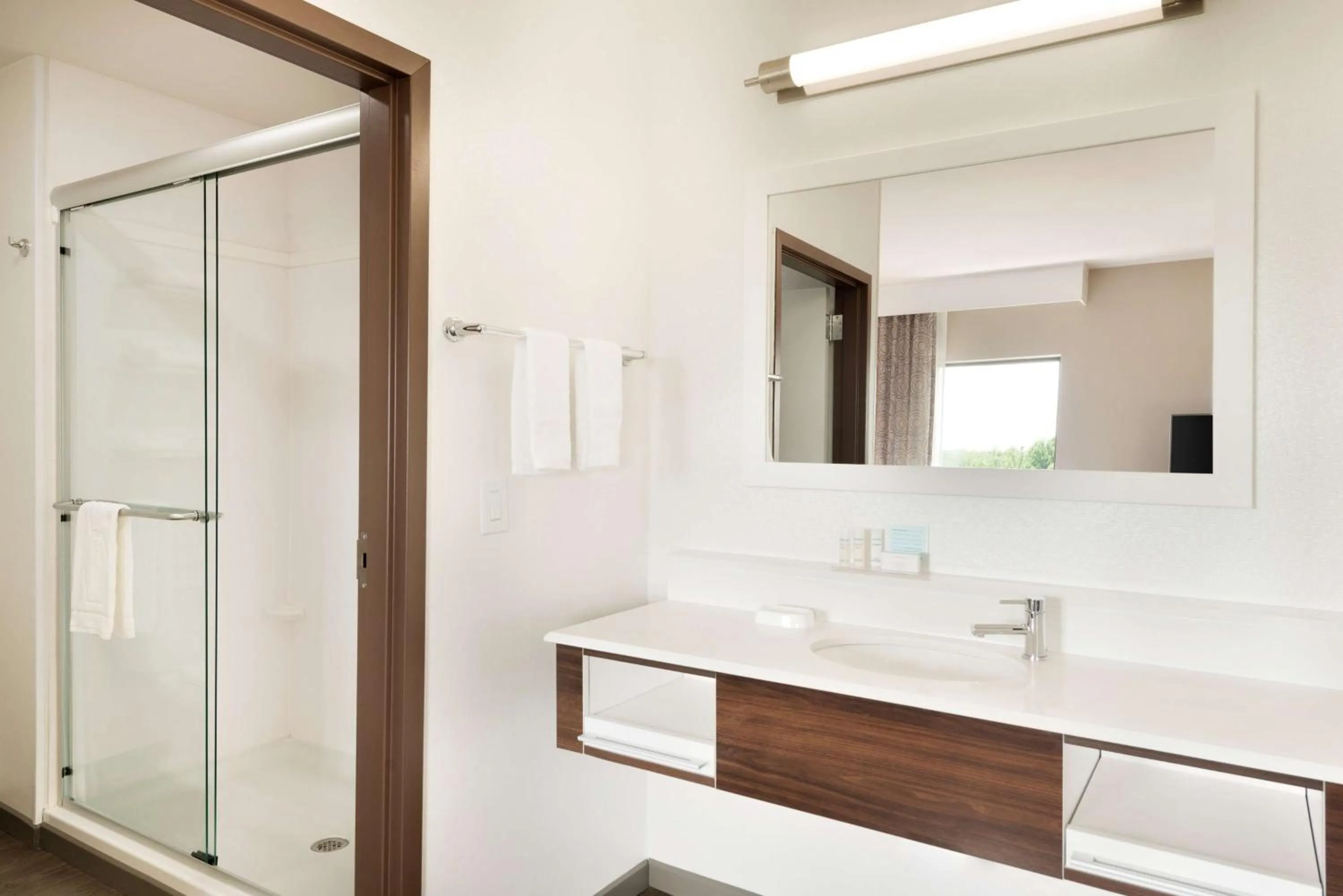 Bathroom in Hampton Inn & Suites - Lavonia, GA