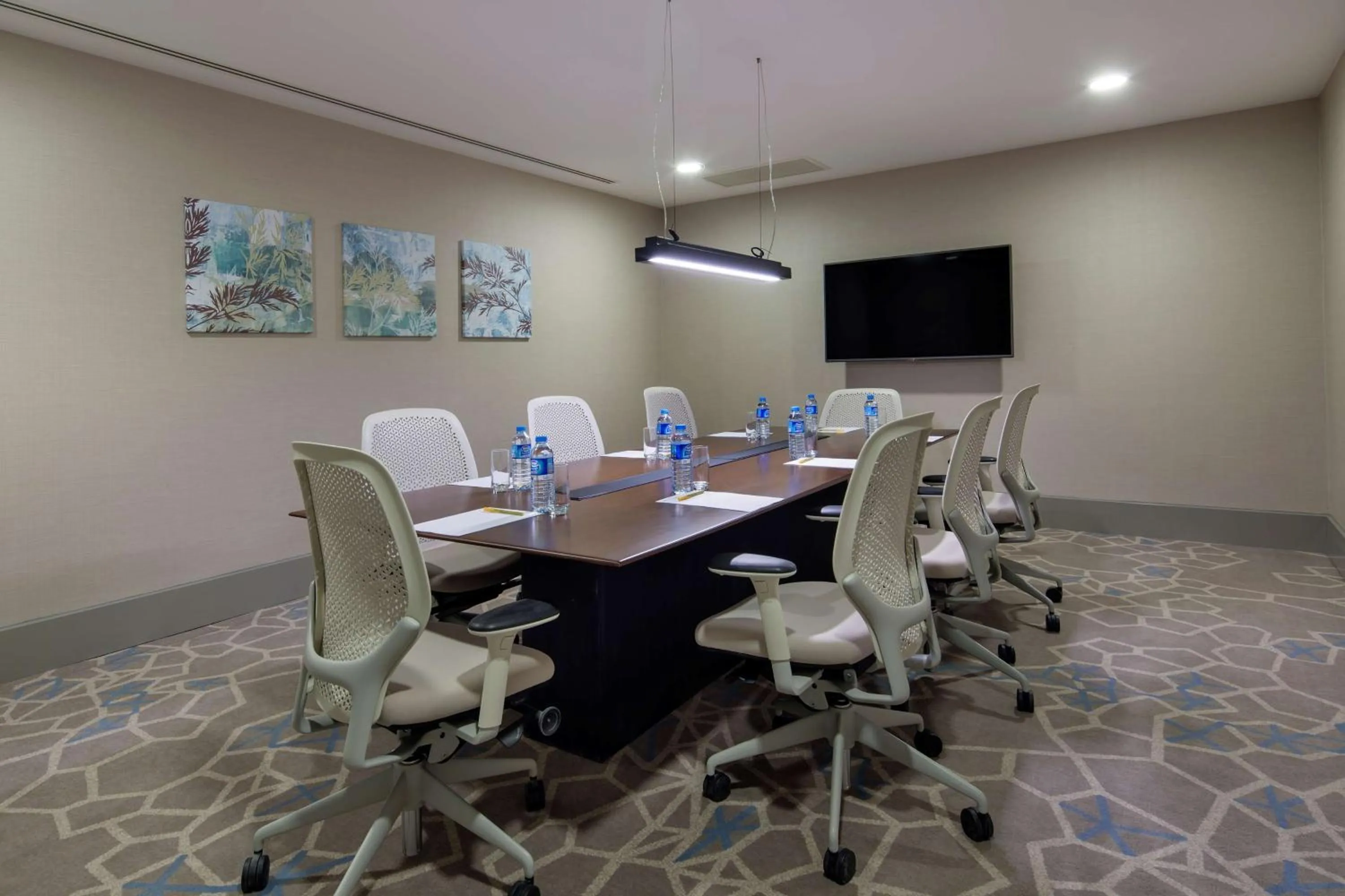 Meeting/conference room in Hilton Garden Inn Istanbul Atatürk Airport