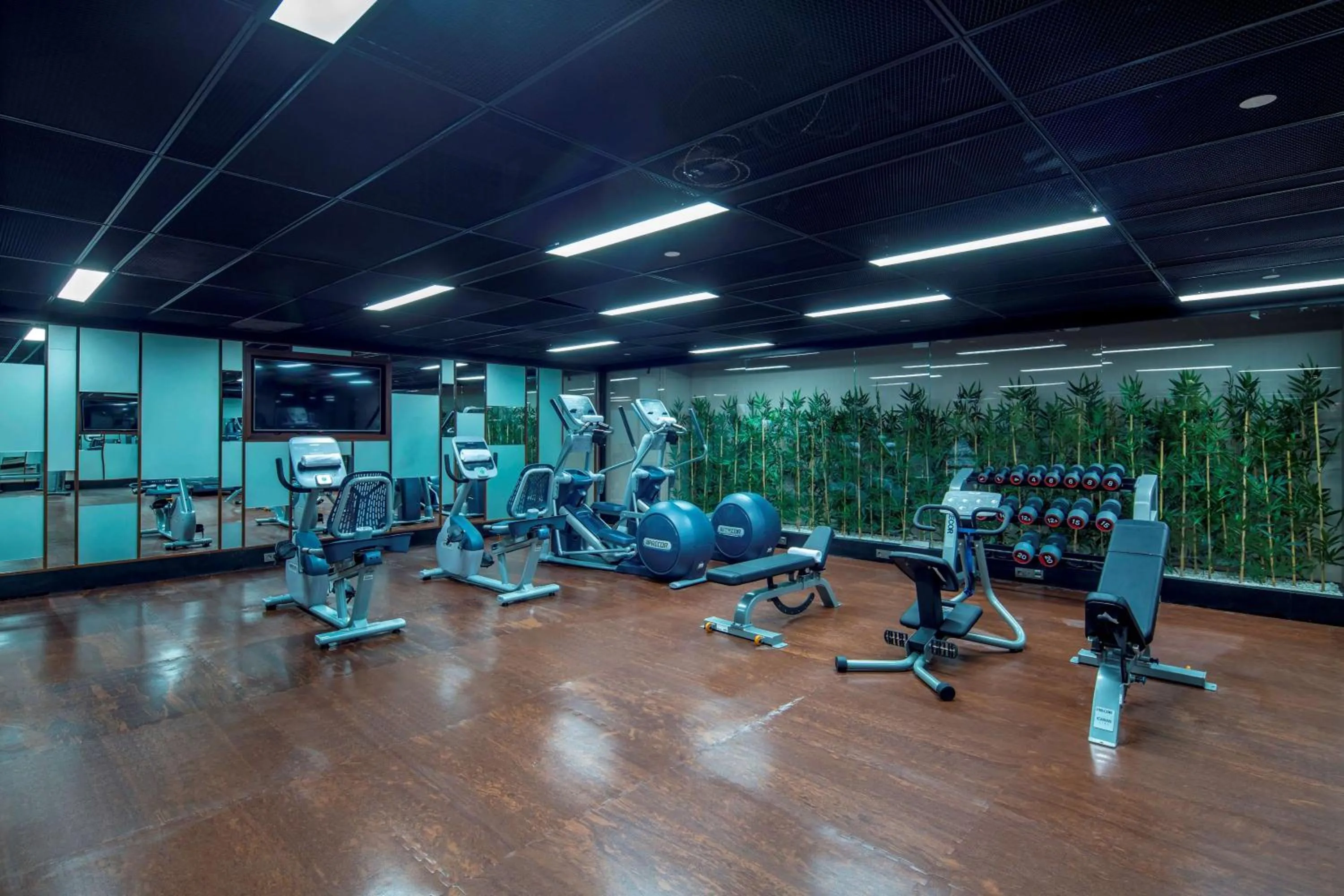 Fitness centre/facilities in Hilton Garden Inn Istanbul Atatürk Airport