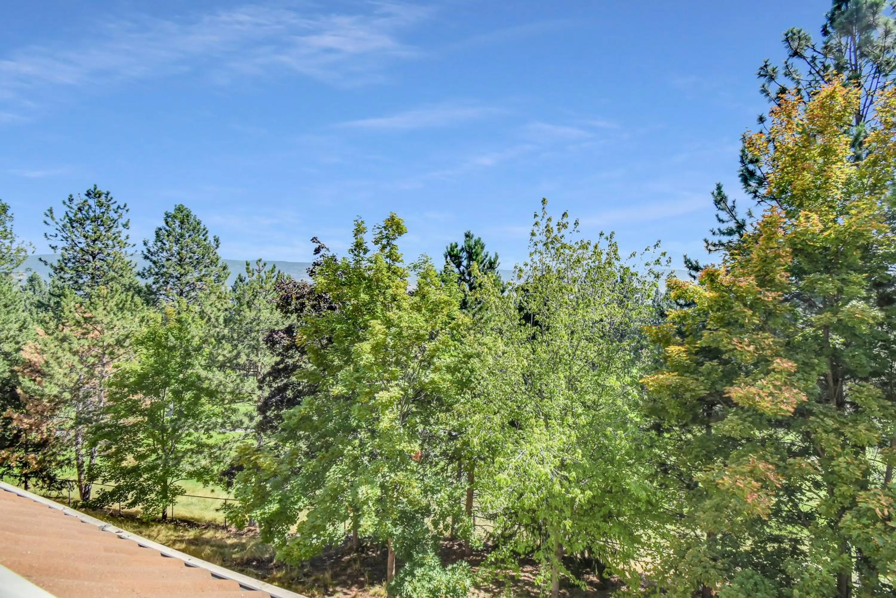 Borgata Lodge Resort