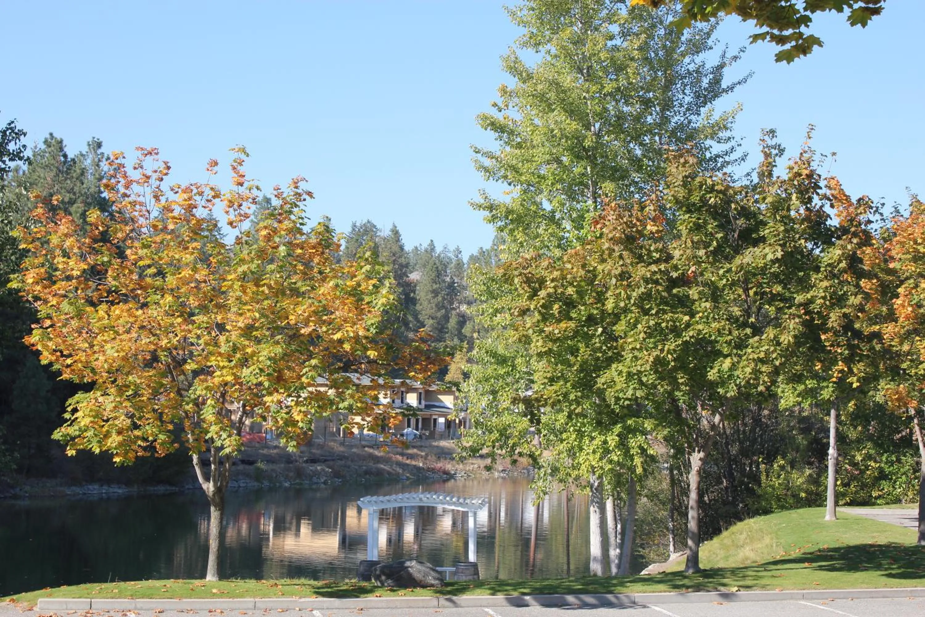 Borgata Lodge Resort