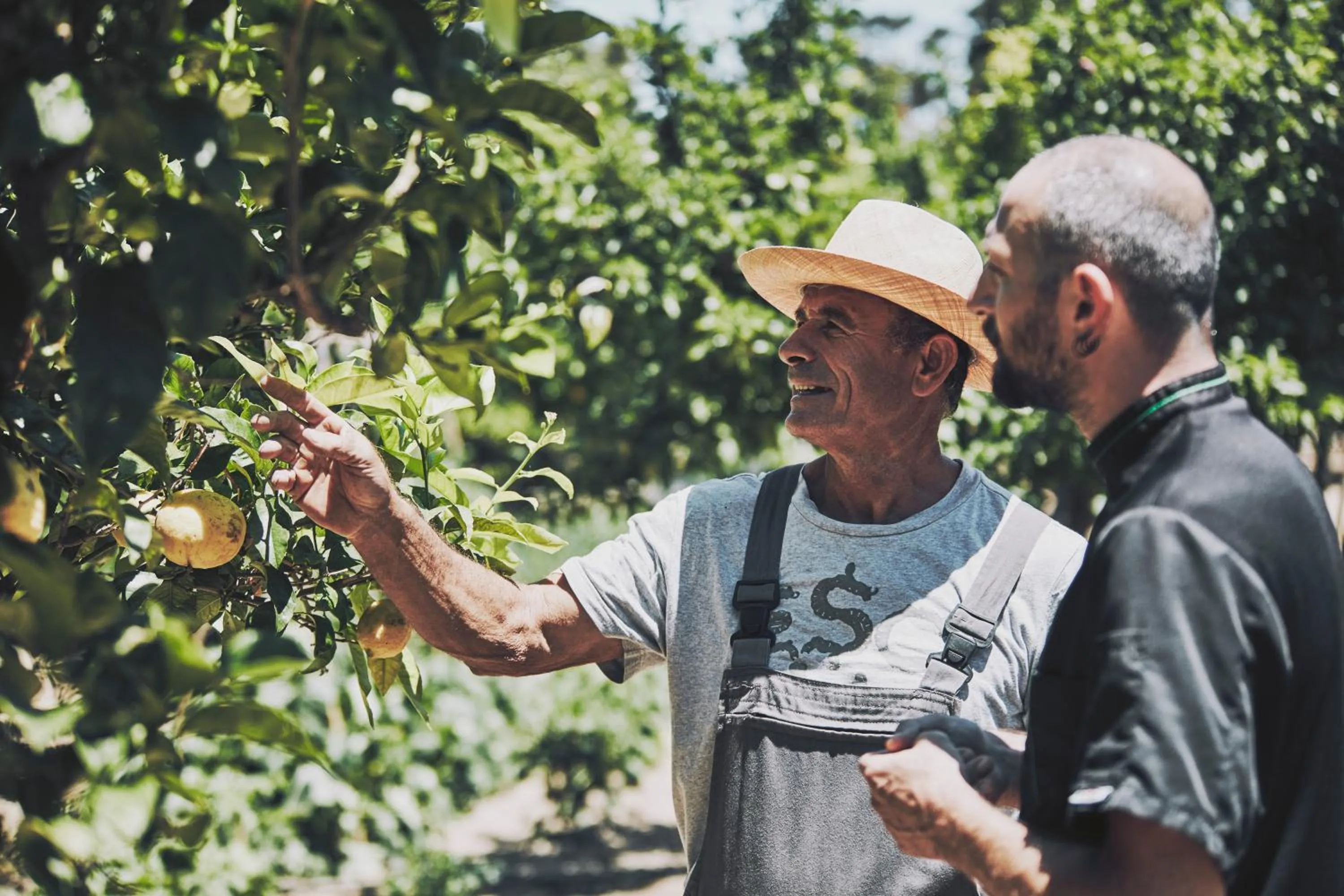 Natural landscape in Yria Island Boutique Hotel & Spa