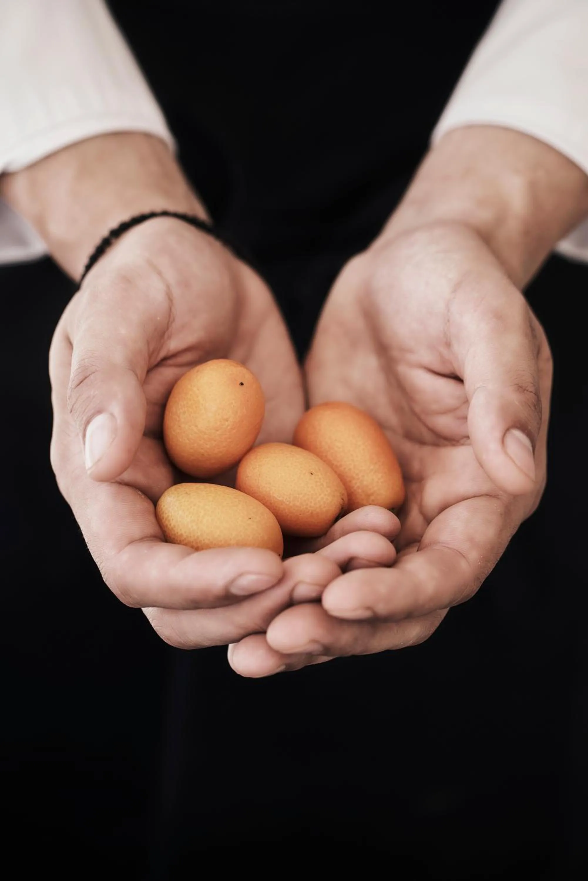 Restaurant/places to eat in Yria Island Boutique Hotel & Spa