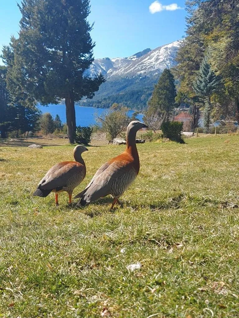 CASA del LAGO Bariloche
