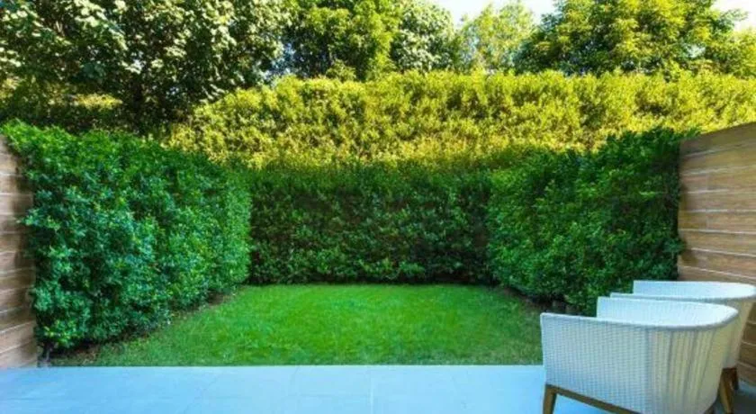 The Mulian Urban Resort Hotels Huadu