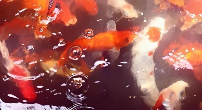 Baan ChanKhiang at ChiangKhan