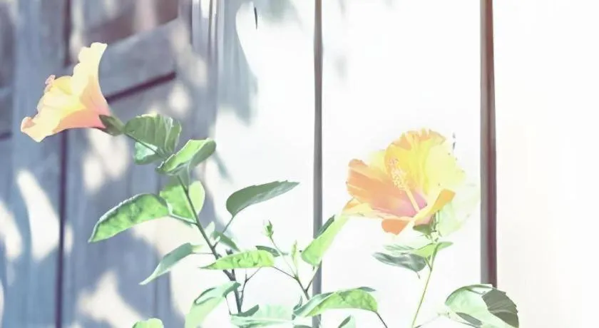 Baan ChanKhiang at ChiangKhan