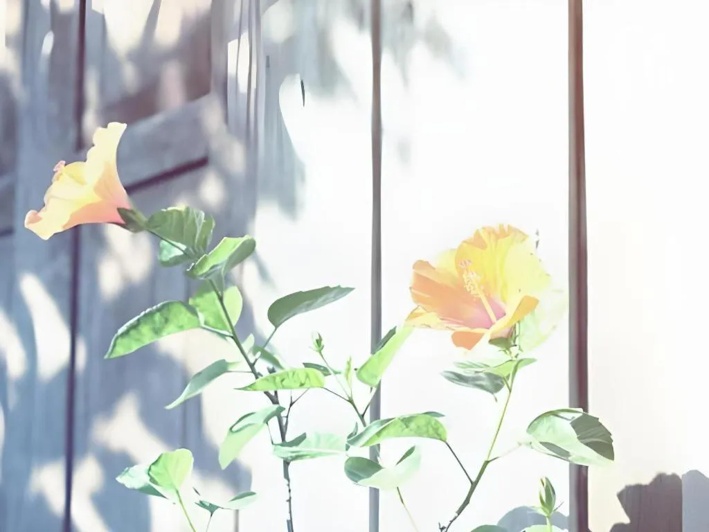 Baan ChanKhiang at ChiangKhan