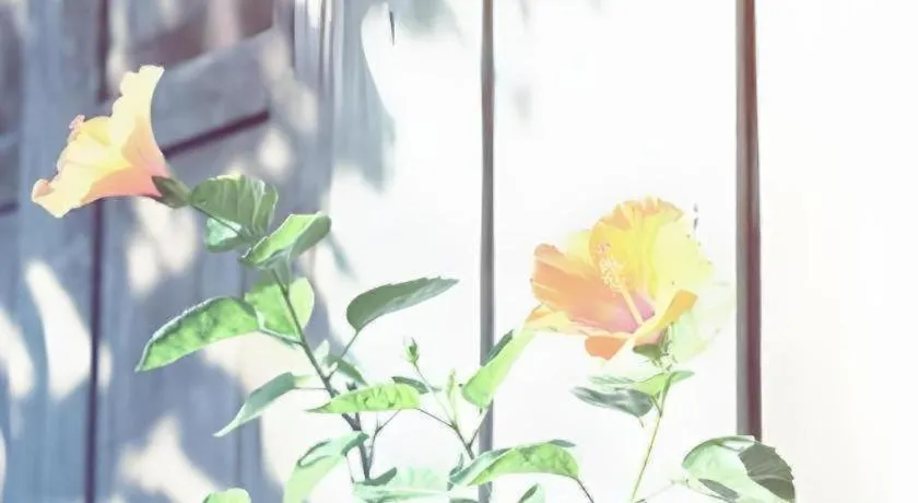 Baan ChanKhiang at ChiangKhan