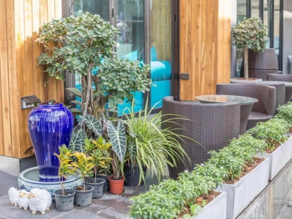 The Bed Hotel Hatyai