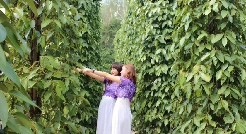 Pepper Farm Phu Quoc Bungalow
