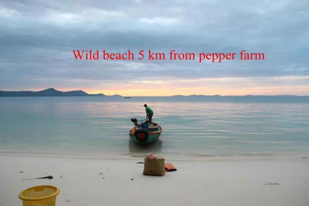 Pepper Farm Phu Quoc Bungalow