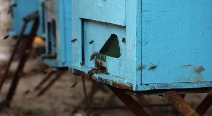 Pepper Farm Phu Quoc Bungalow