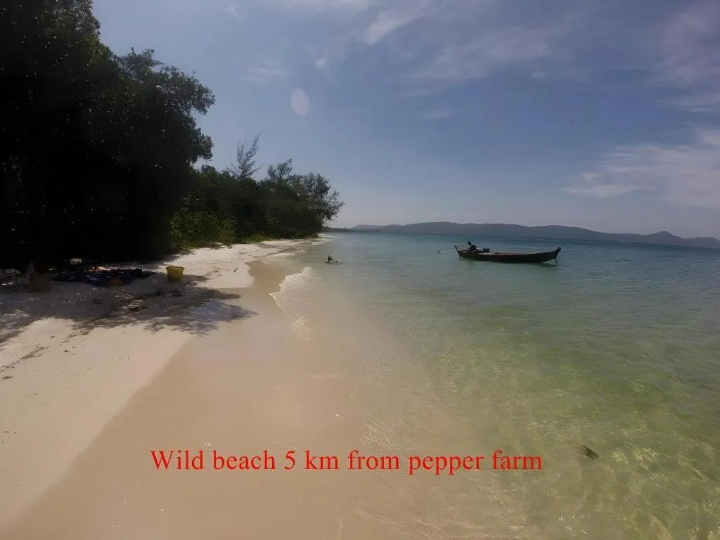 Pepper Farm Phu Quoc Bungalow