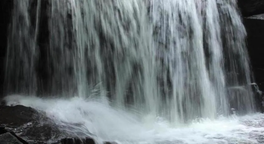 Pepper Farm Phu Quoc Bungalow